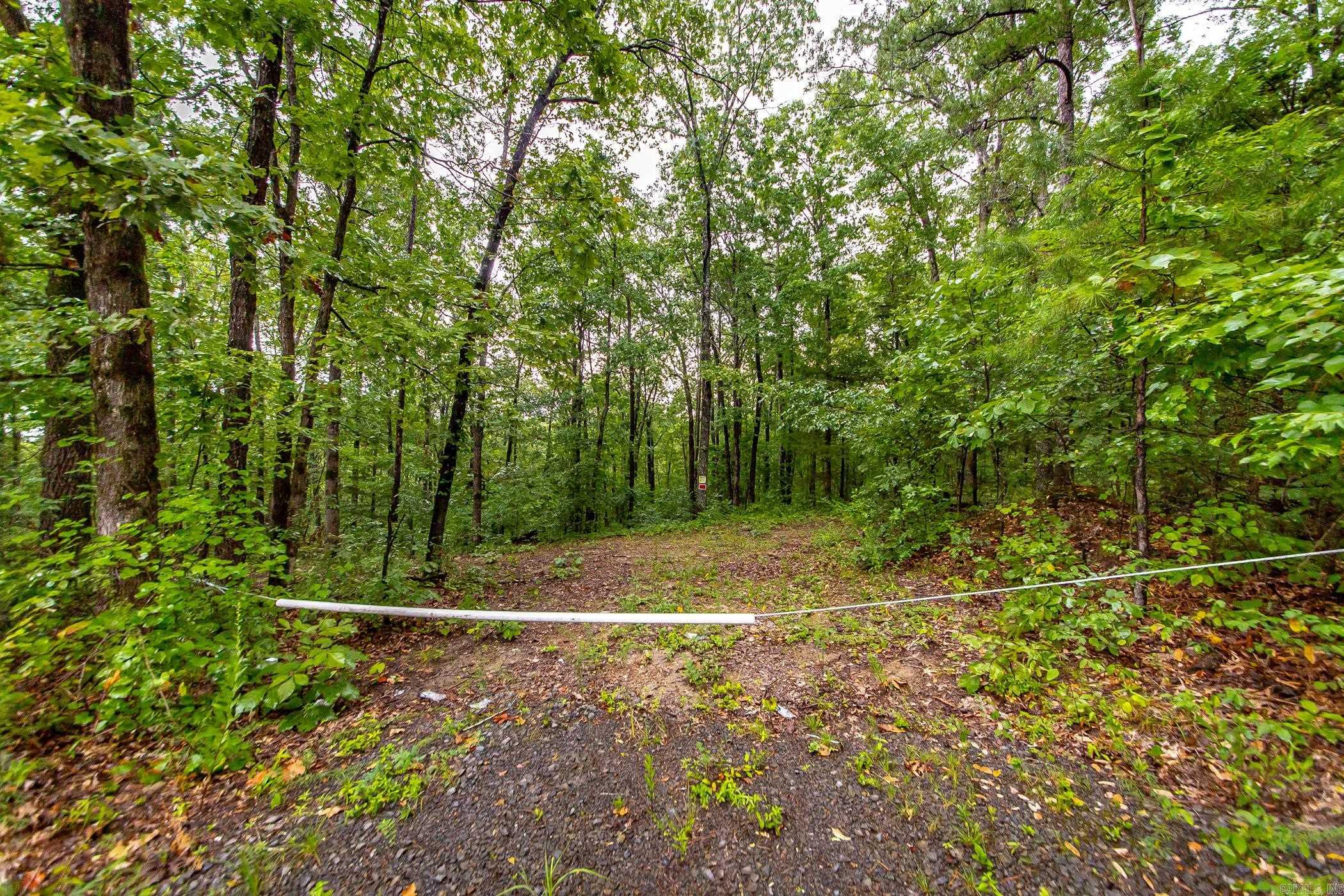 0 Round Spring  Clinton, AR