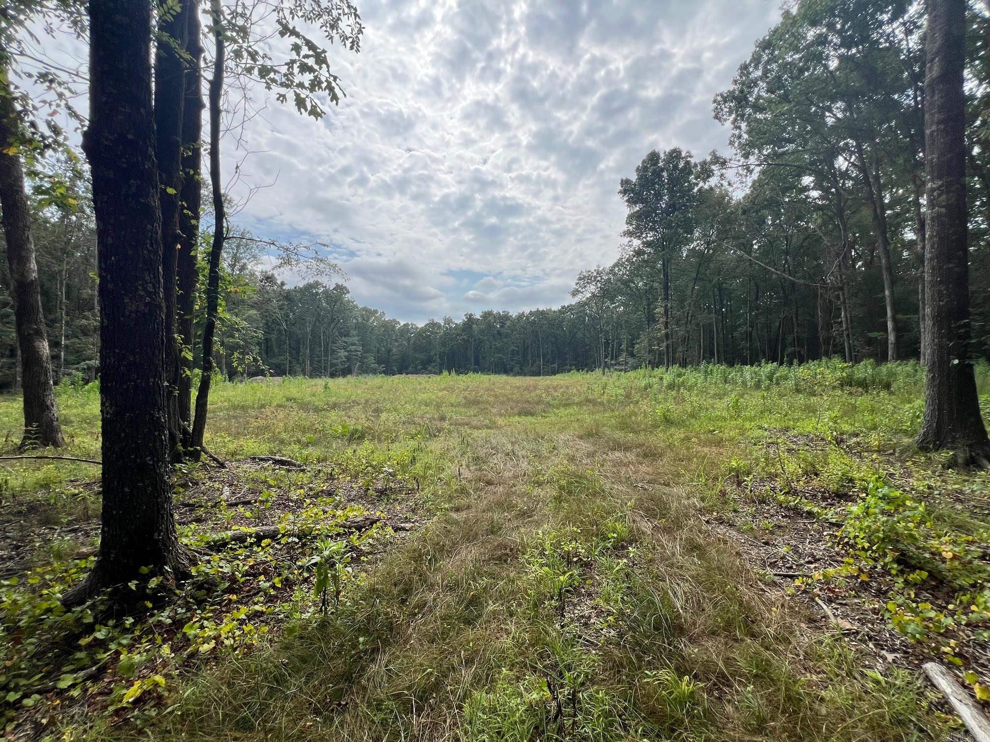 00 Caney Valley Road  Plummerville, AR