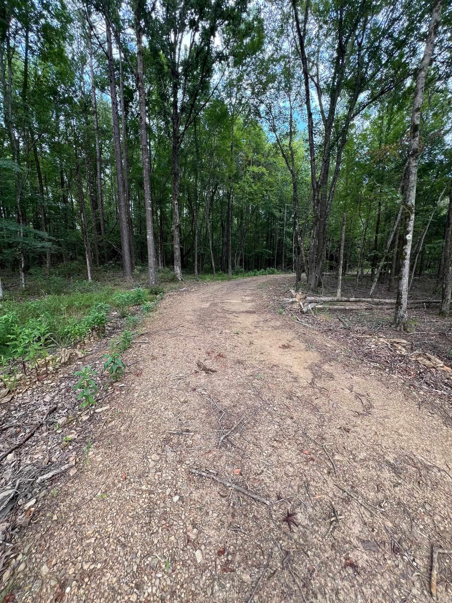 00 Caney Valley Road  Plummerville, AR