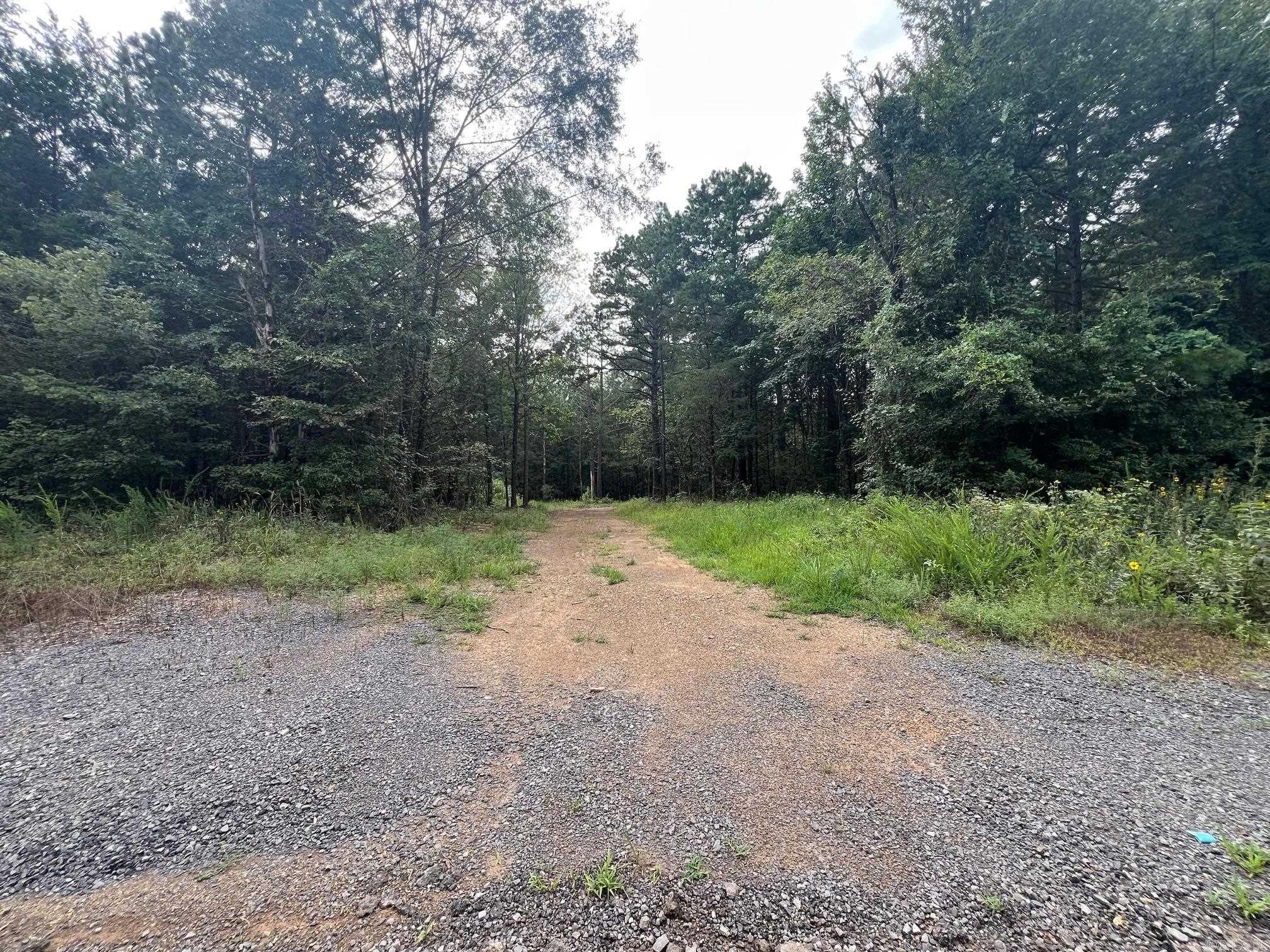 00 Caney Valley Road  Plummerville, AR