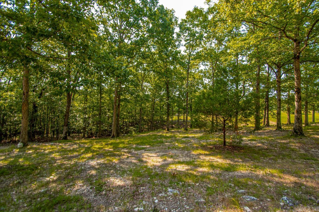 10201 Sierra Place Drive Alexander, AR 72002
