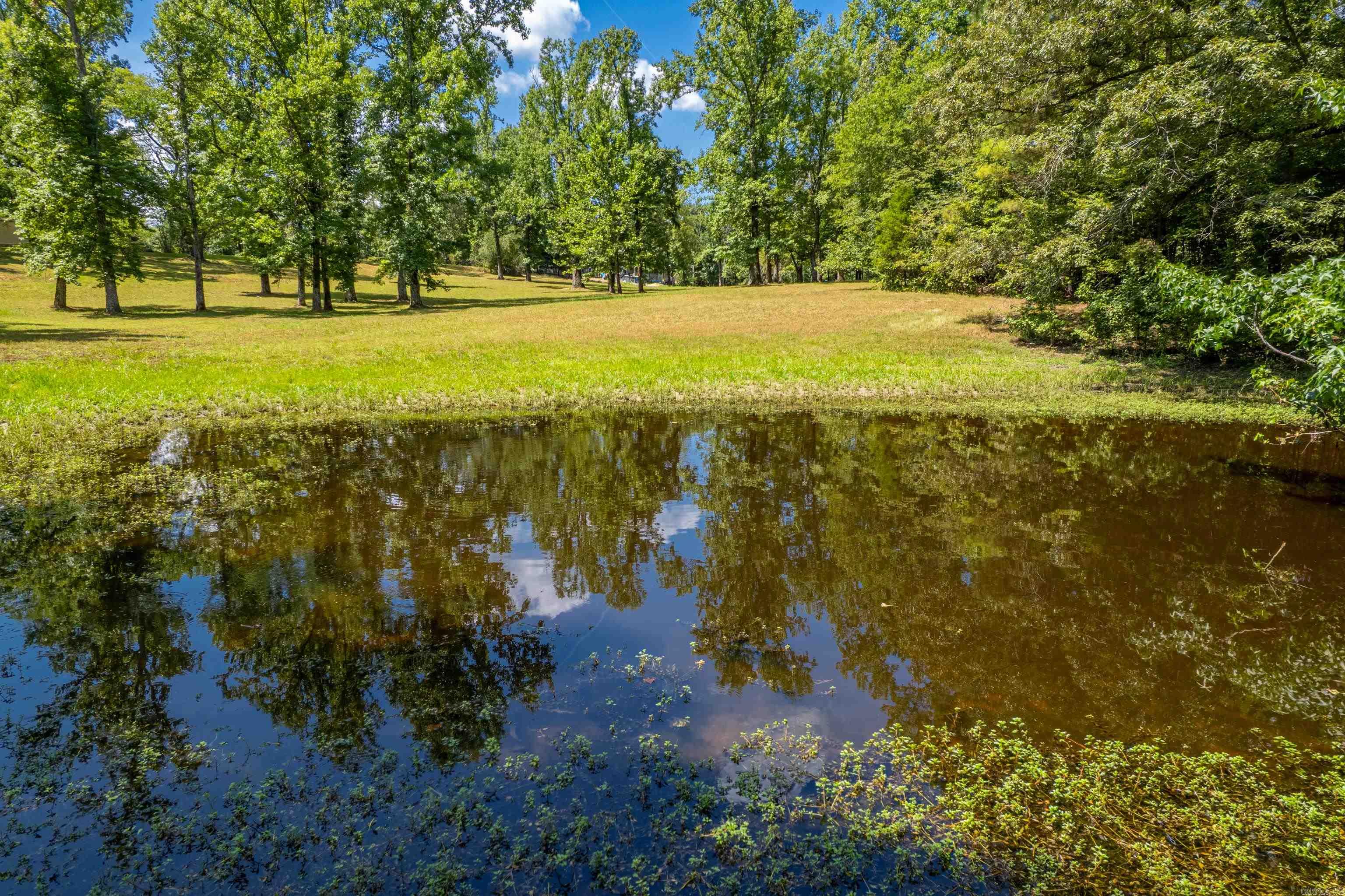 256 Forest Ridge Rd Road Royal, AR 71968