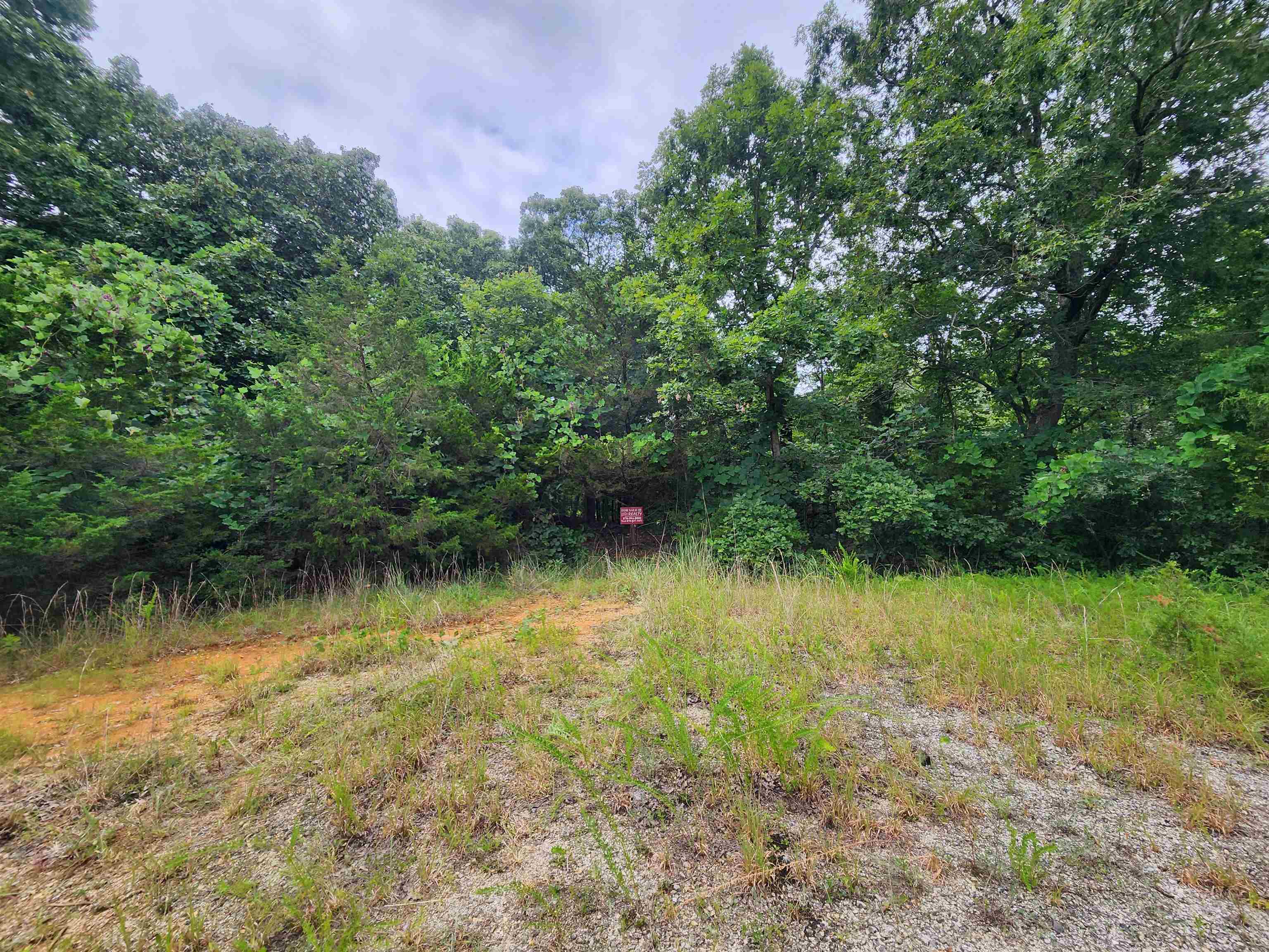 702 Dixie  Horseshoe Bend, AR