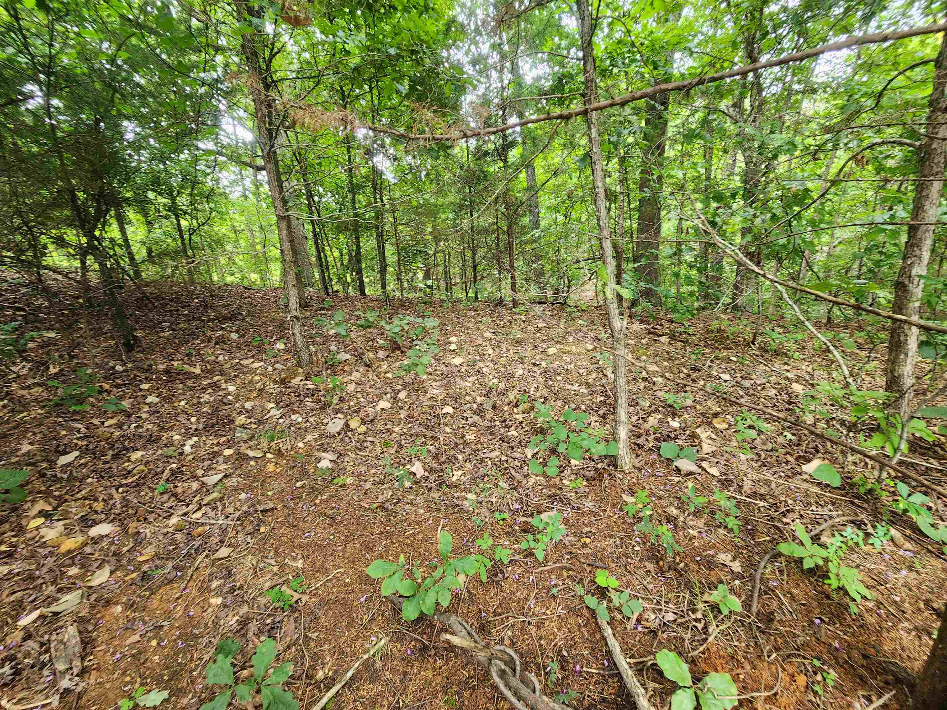 702 Dixie  Horseshoe Bend, AR