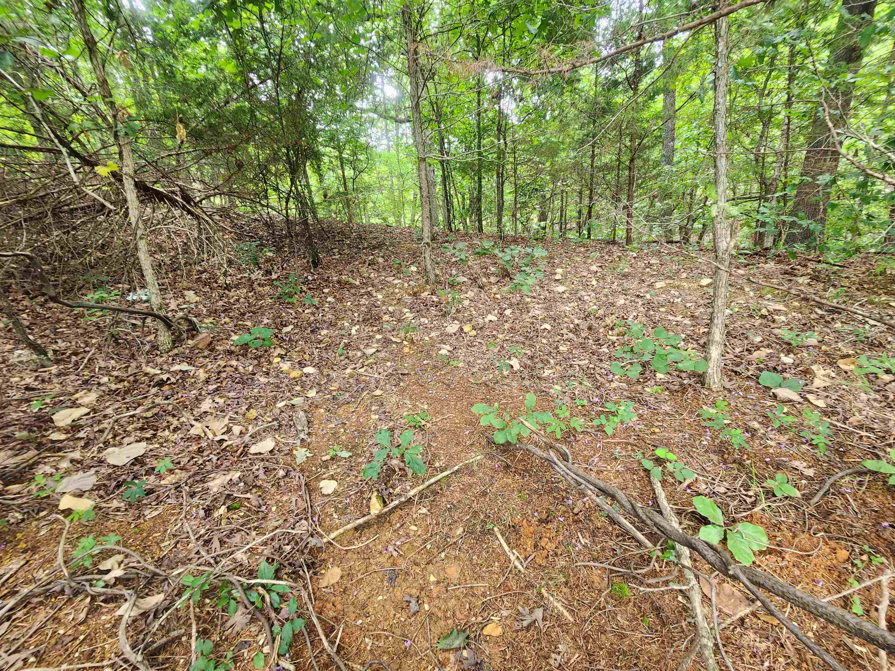 702 Dixie  Horseshoe Bend, AR