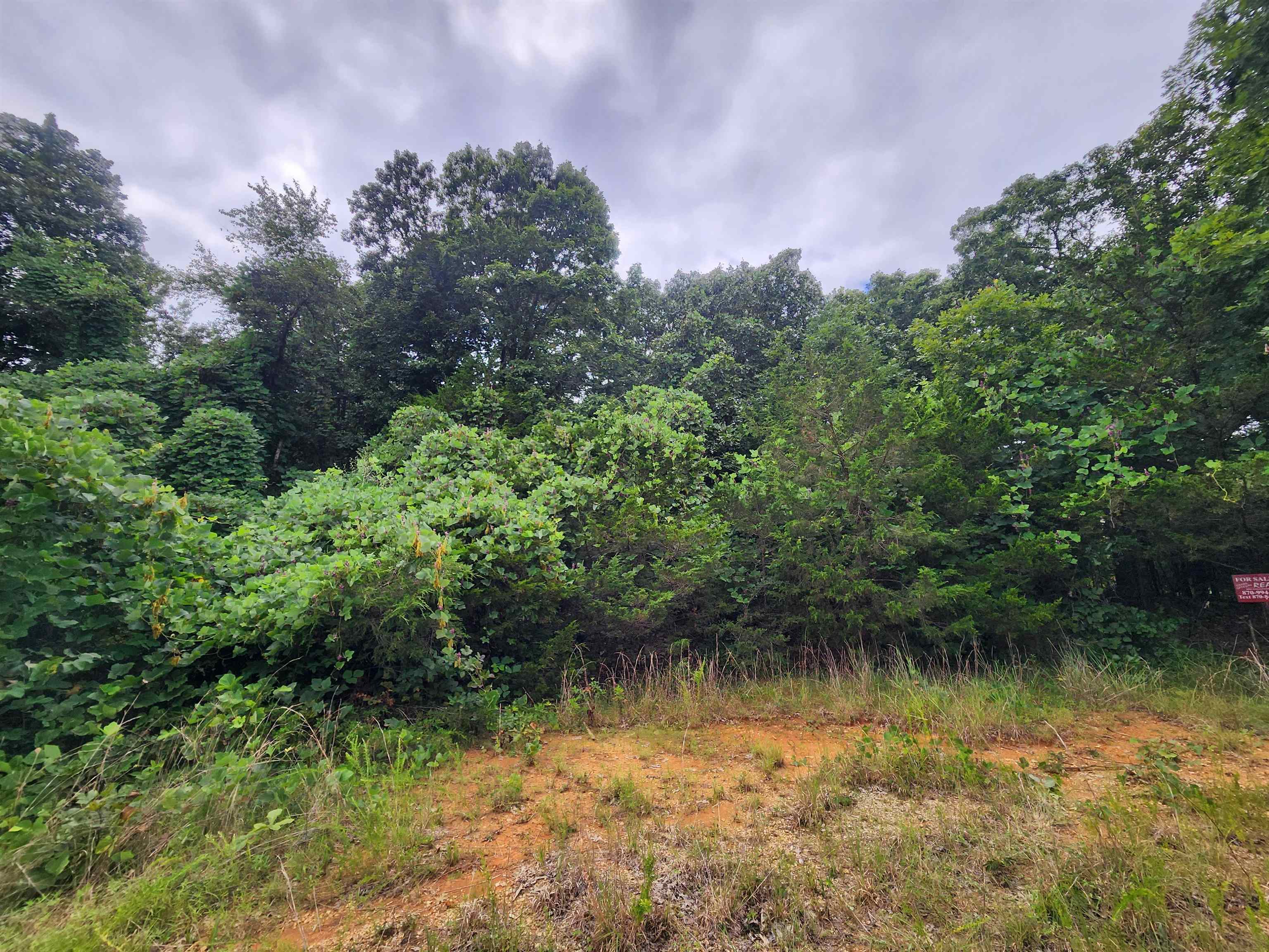 702 Dixie  Horseshoe Bend, AR