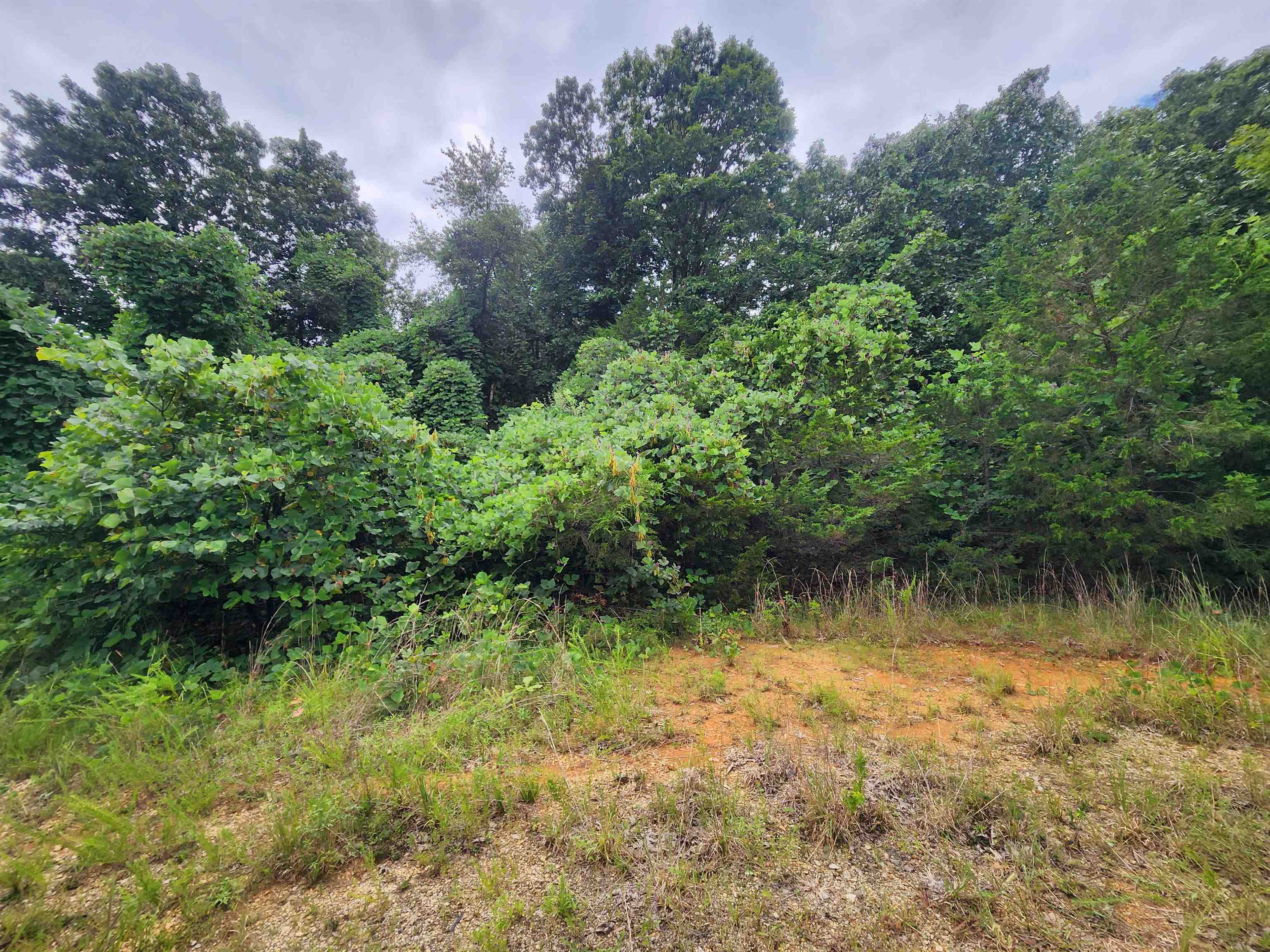 702 Dixie  Horseshoe Bend, AR