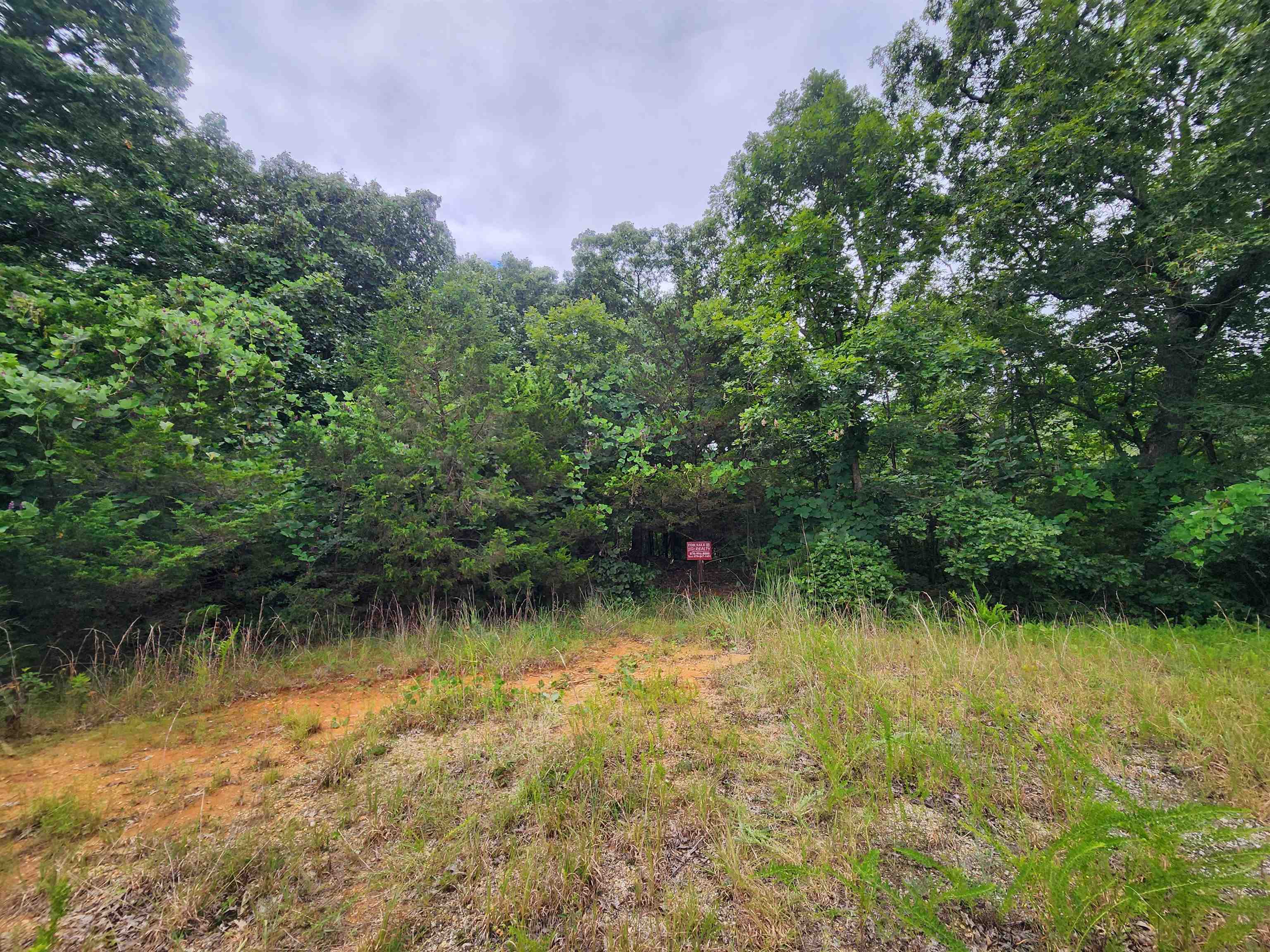 702 Dixie  Horseshoe Bend, AR