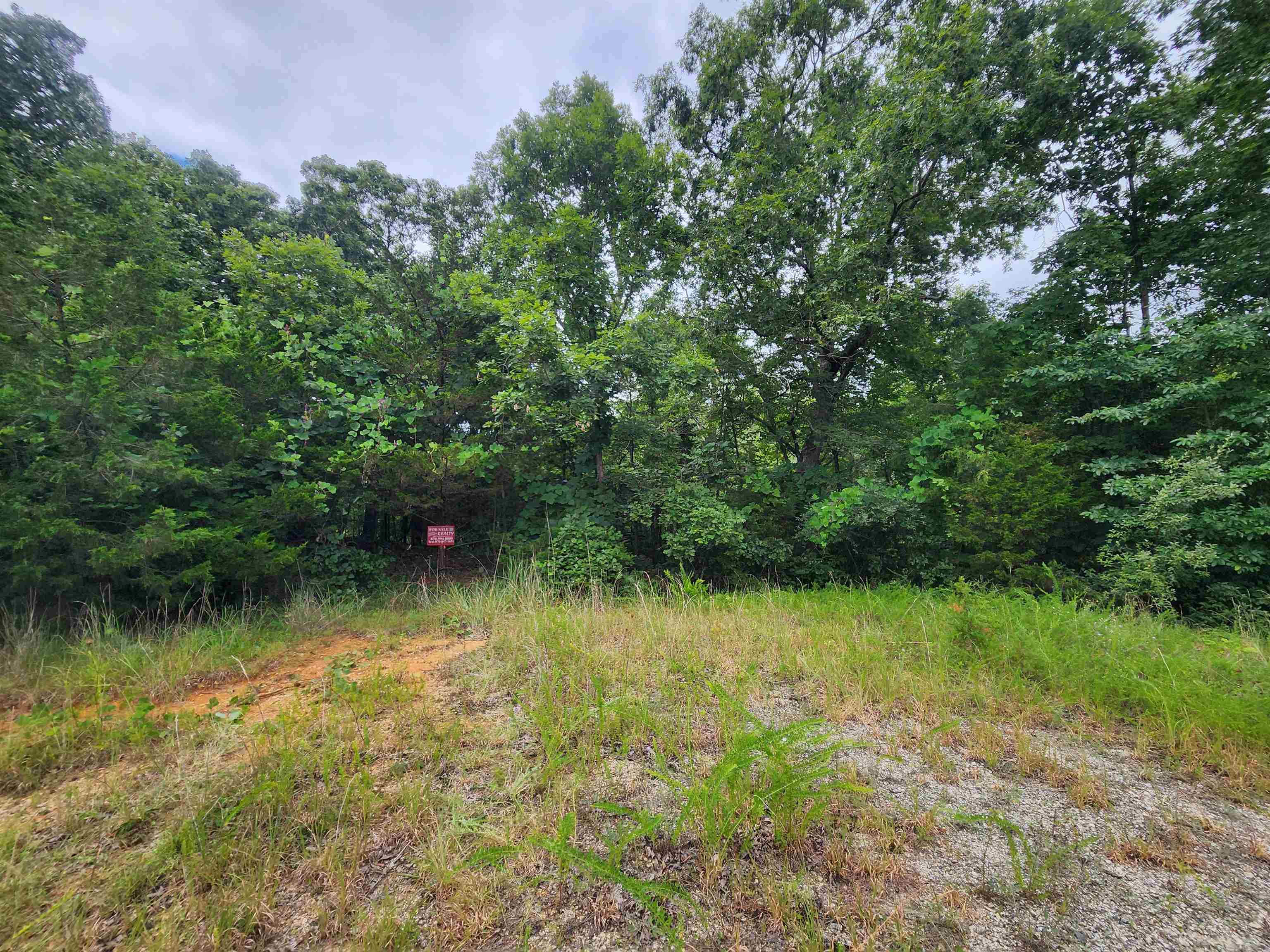 702 Dixie  Horseshoe Bend, AR