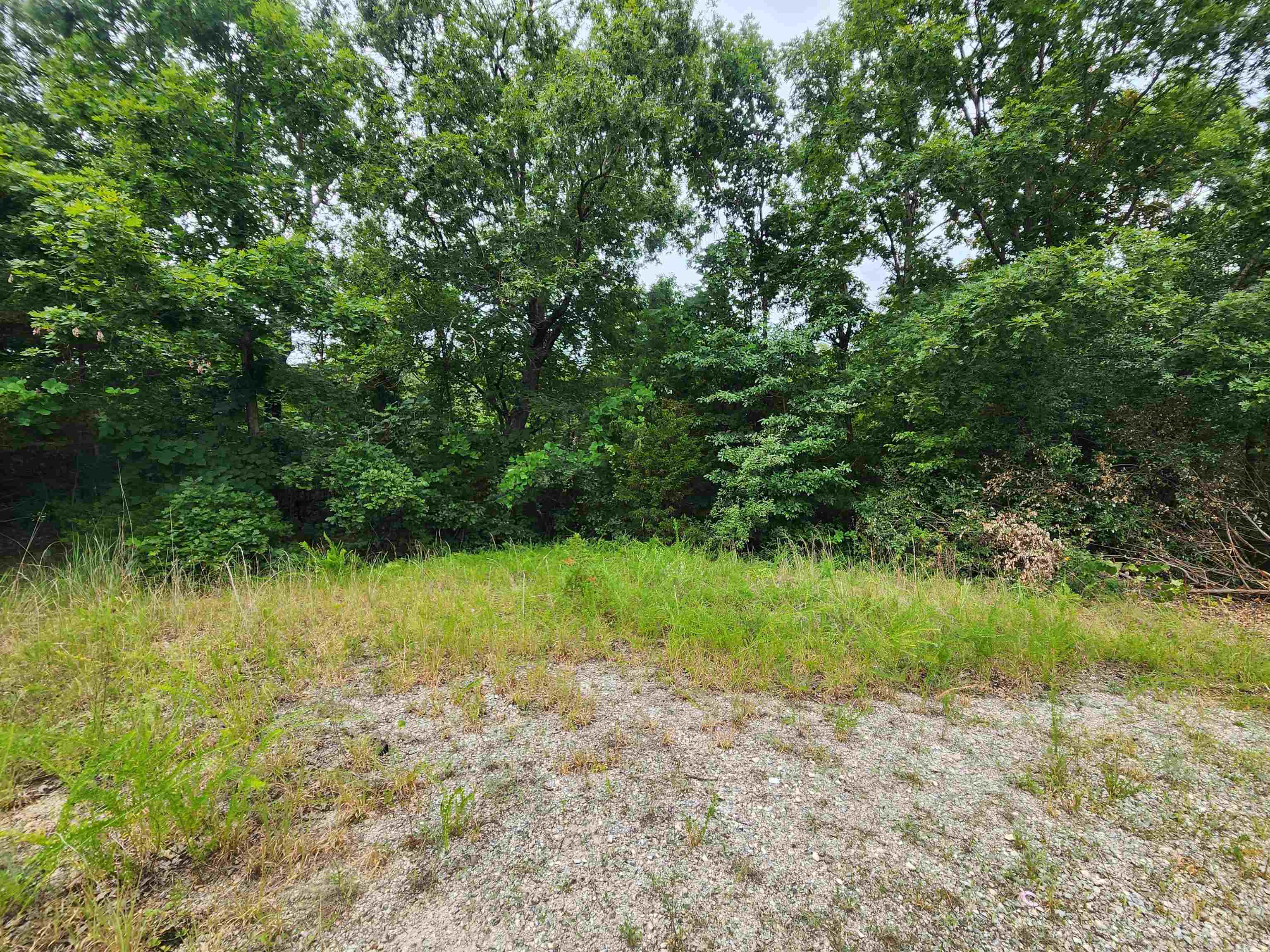 702 Dixie  Horseshoe Bend, AR