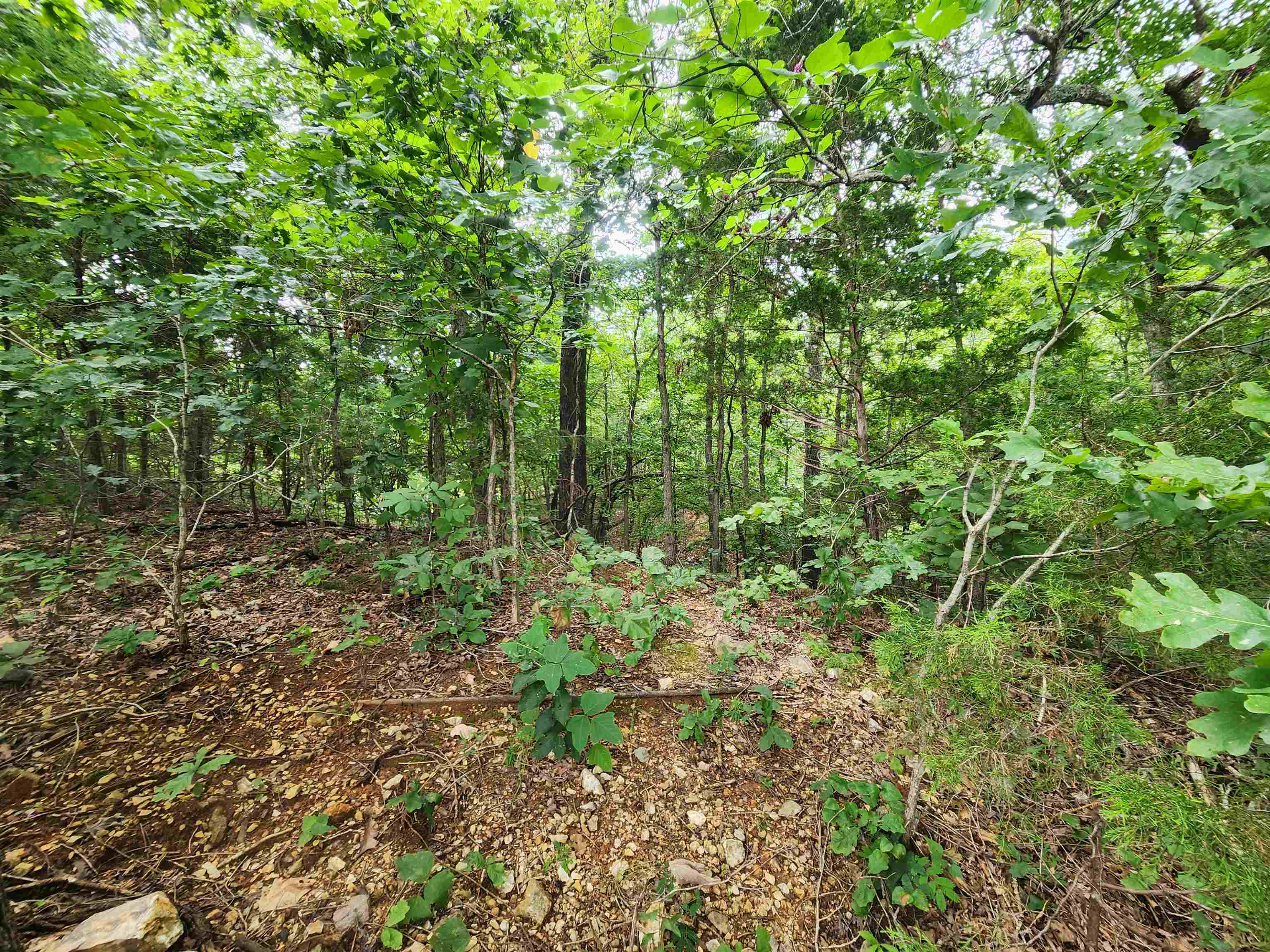 702 Dixie  Horseshoe Bend, AR