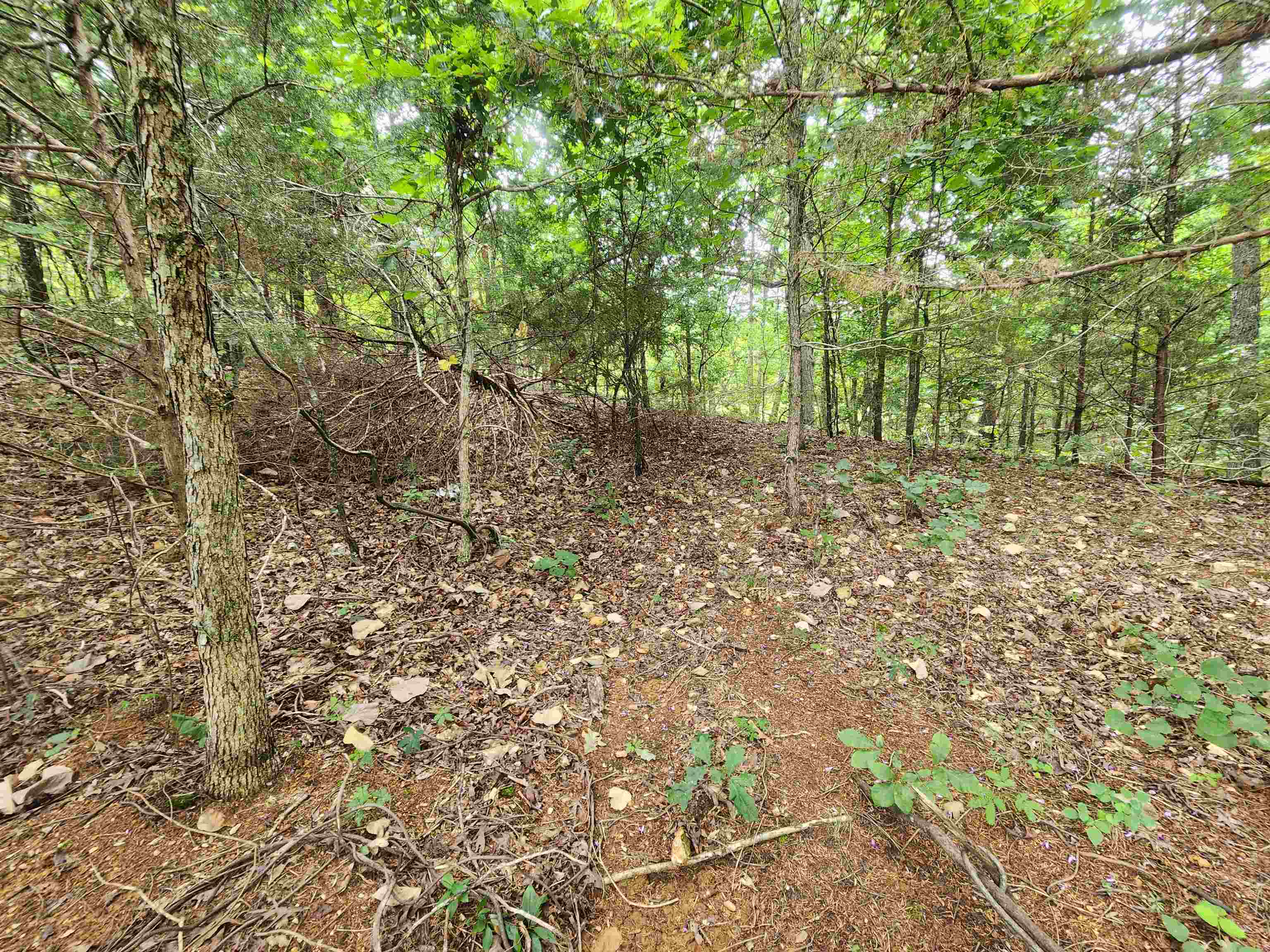 702 Dixie  Horseshoe Bend, AR
