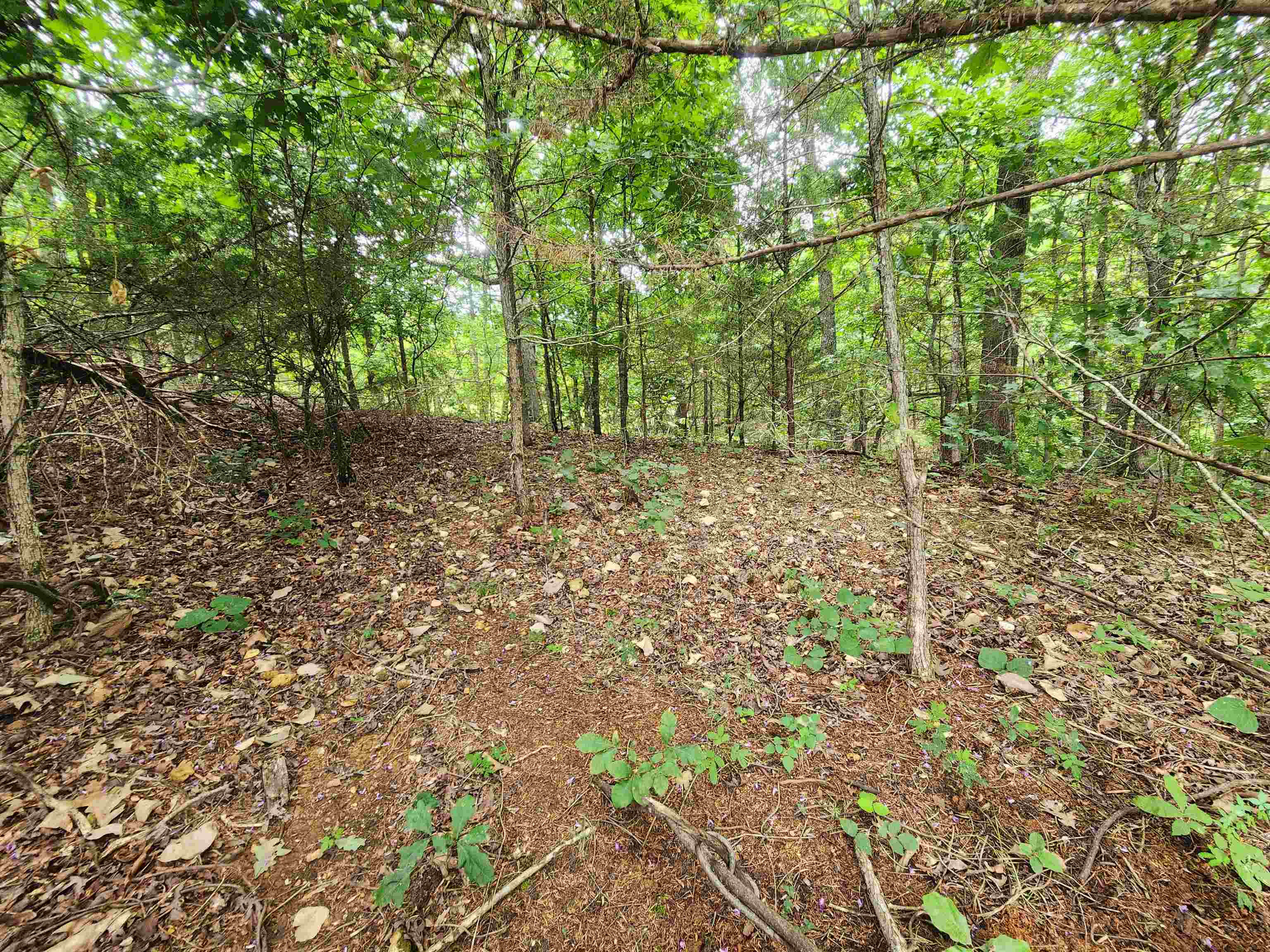 702 Dixie  Horseshoe Bend, AR