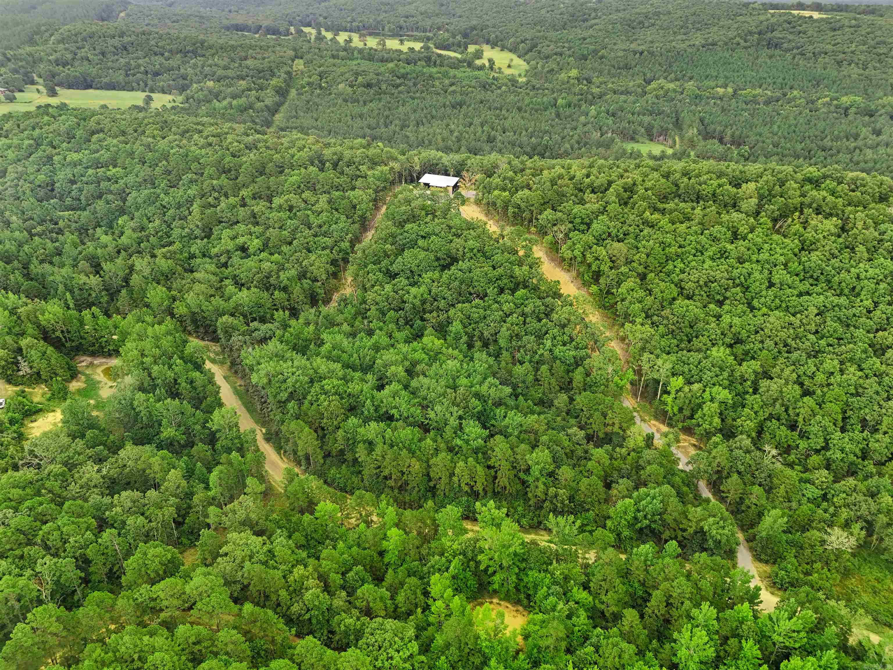 528 Long Branch  Bee Branch, AR