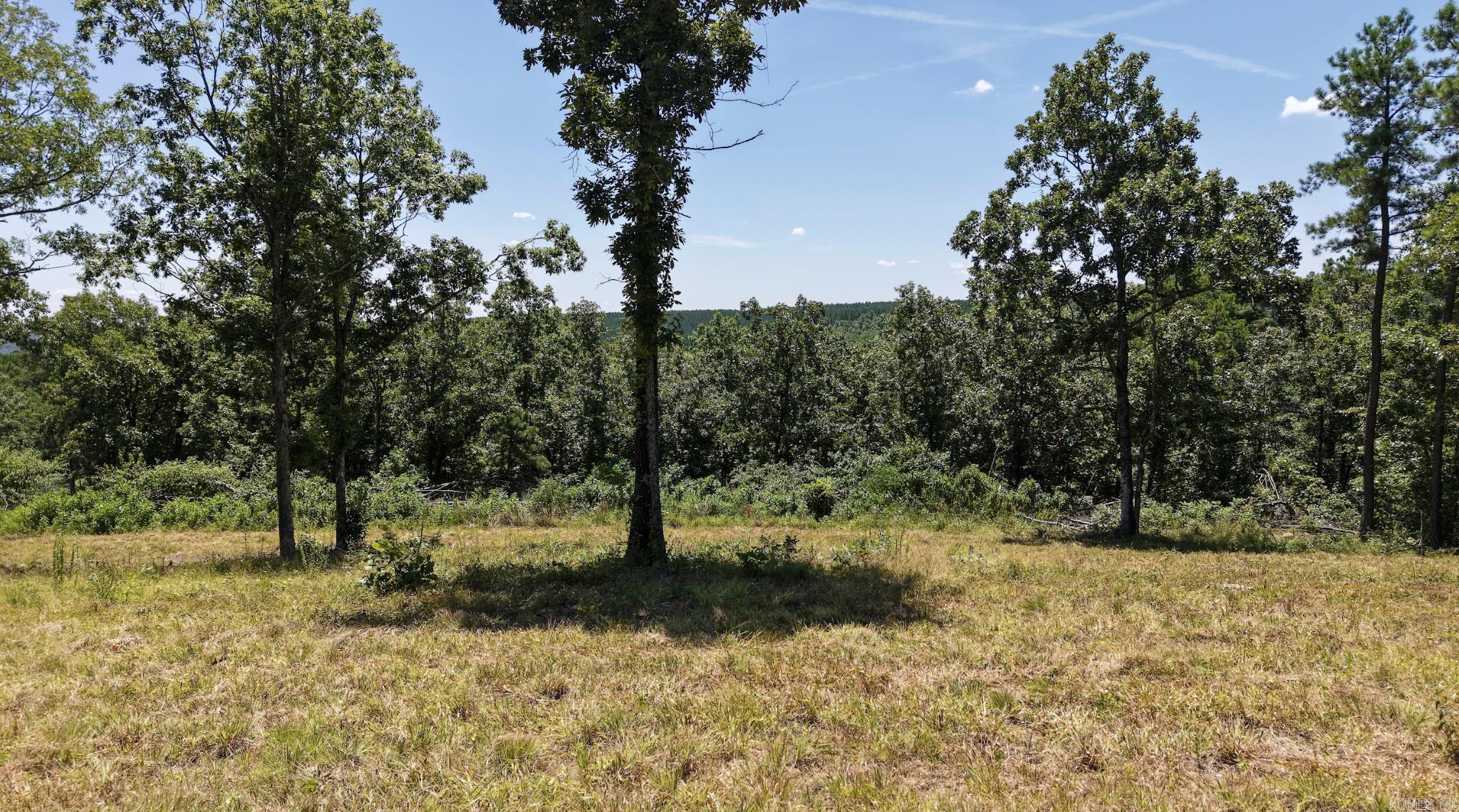 000 Timberline Drive (Tract 1)  Leslie, AR