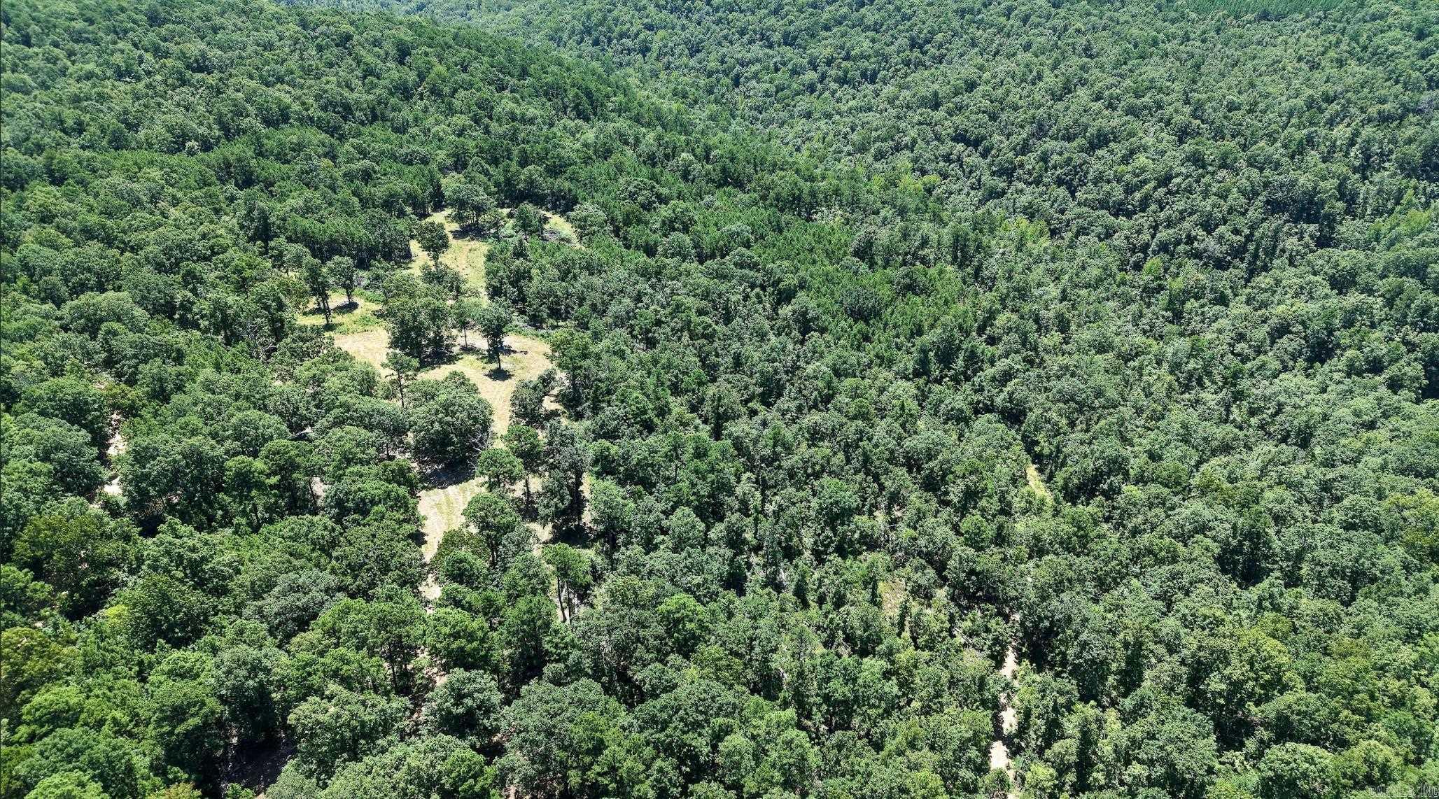 000 Timberline Drive (Tract 1)  Leslie, AR