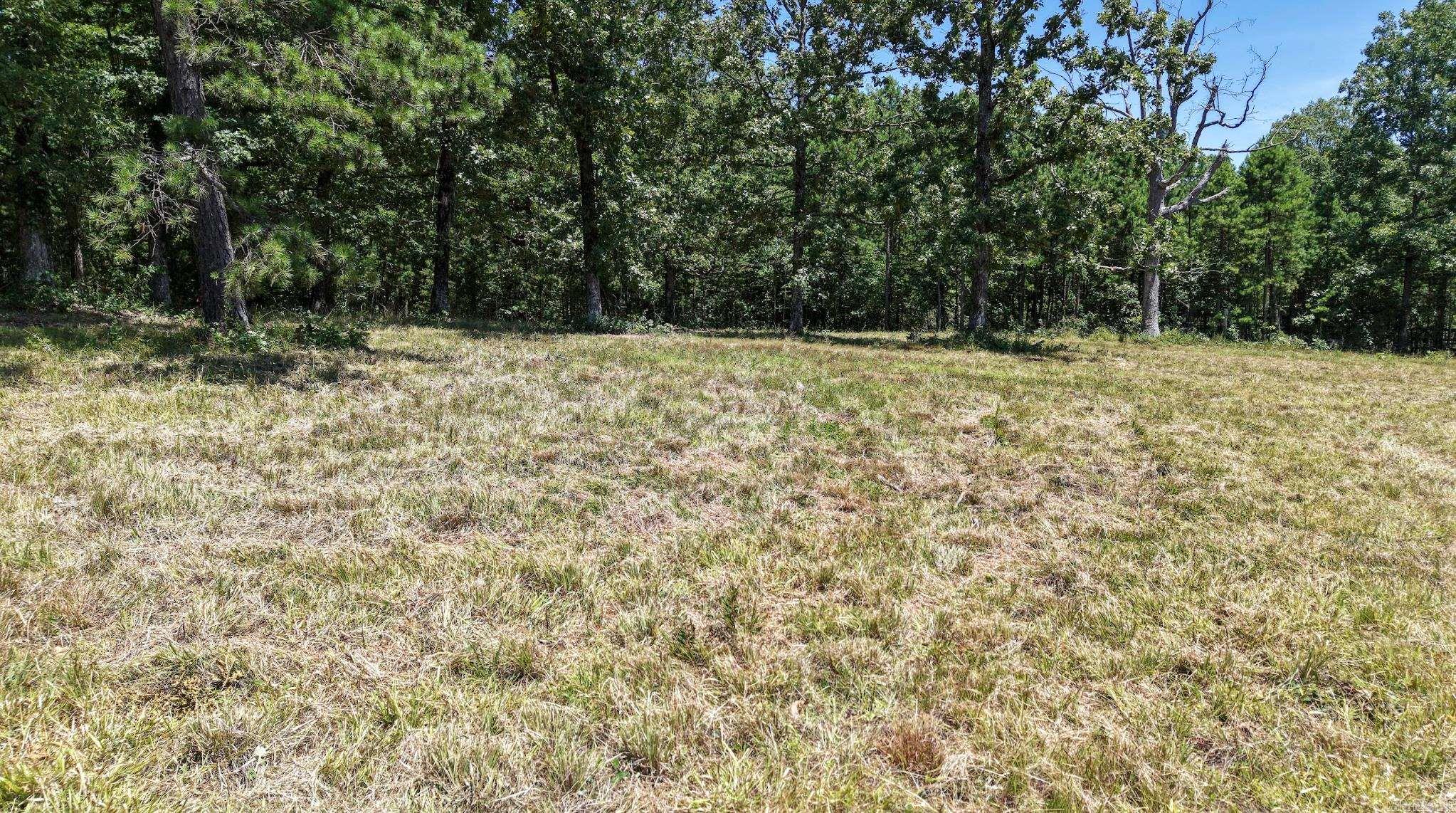 000 Timberline Drive (Tract 1)  Leslie, AR