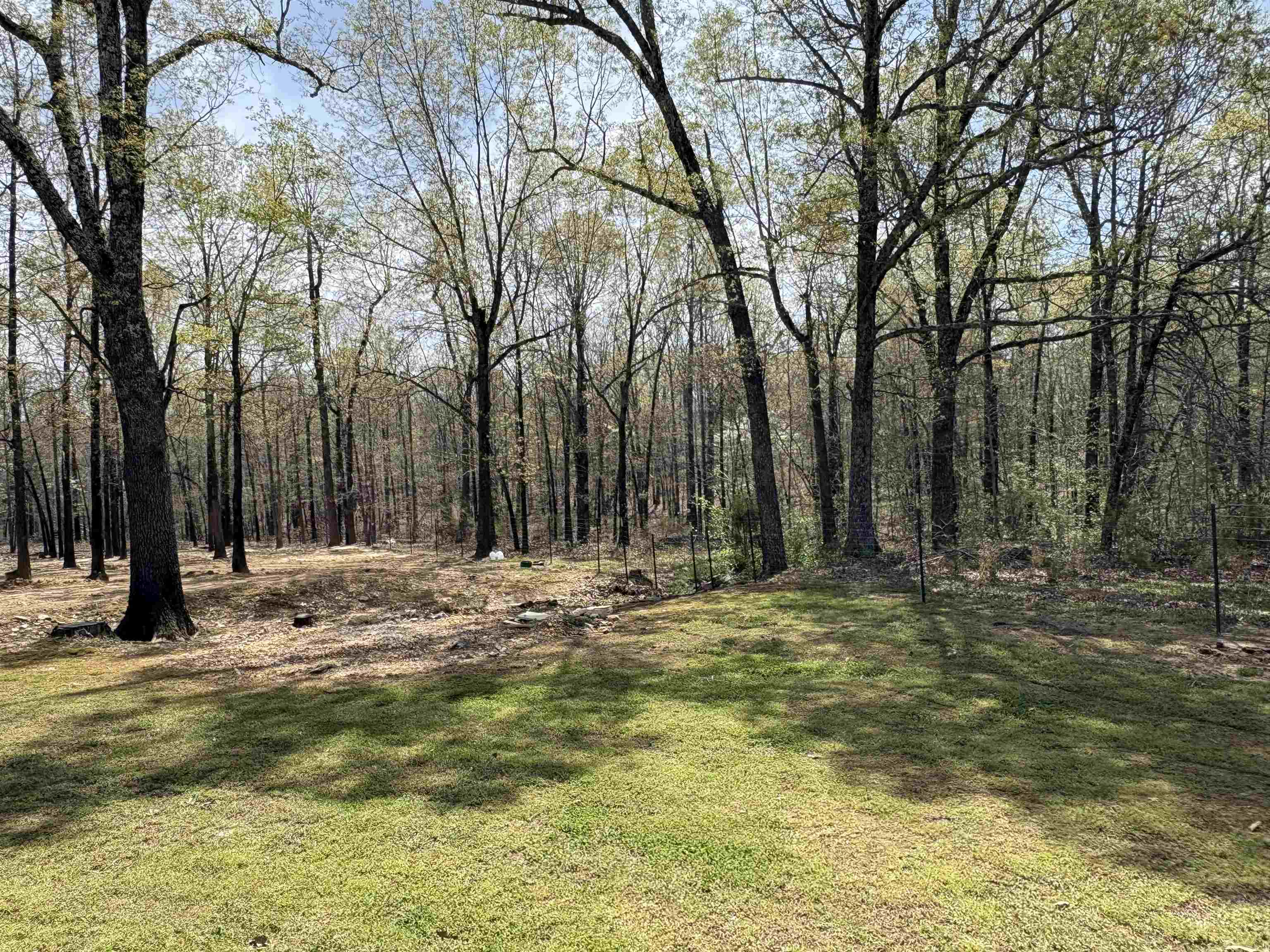 4431 Magnolia Road Salem, AR 72576