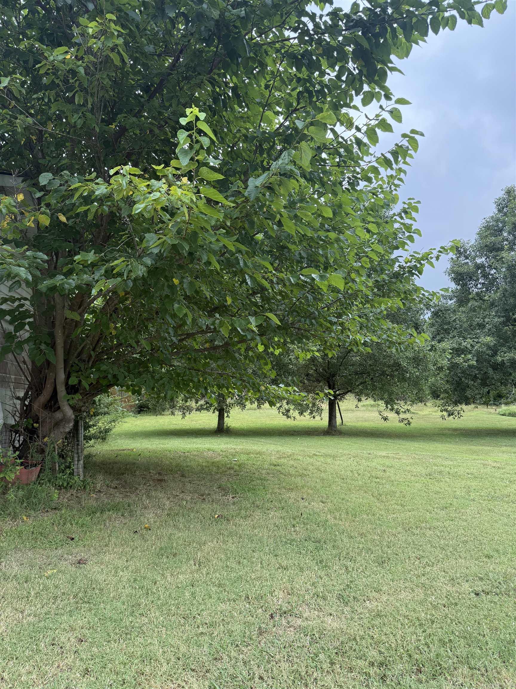 3822 Hwy 358  Paragould, AR
