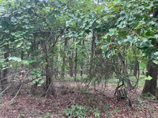 46 Mandarina  Hot Springs Village, AR