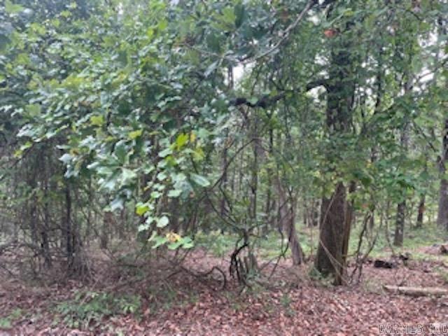 46 Mandarina  Hot Springs Village, AR