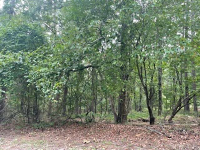 46 Mandarina  Hot Springs Village, AR