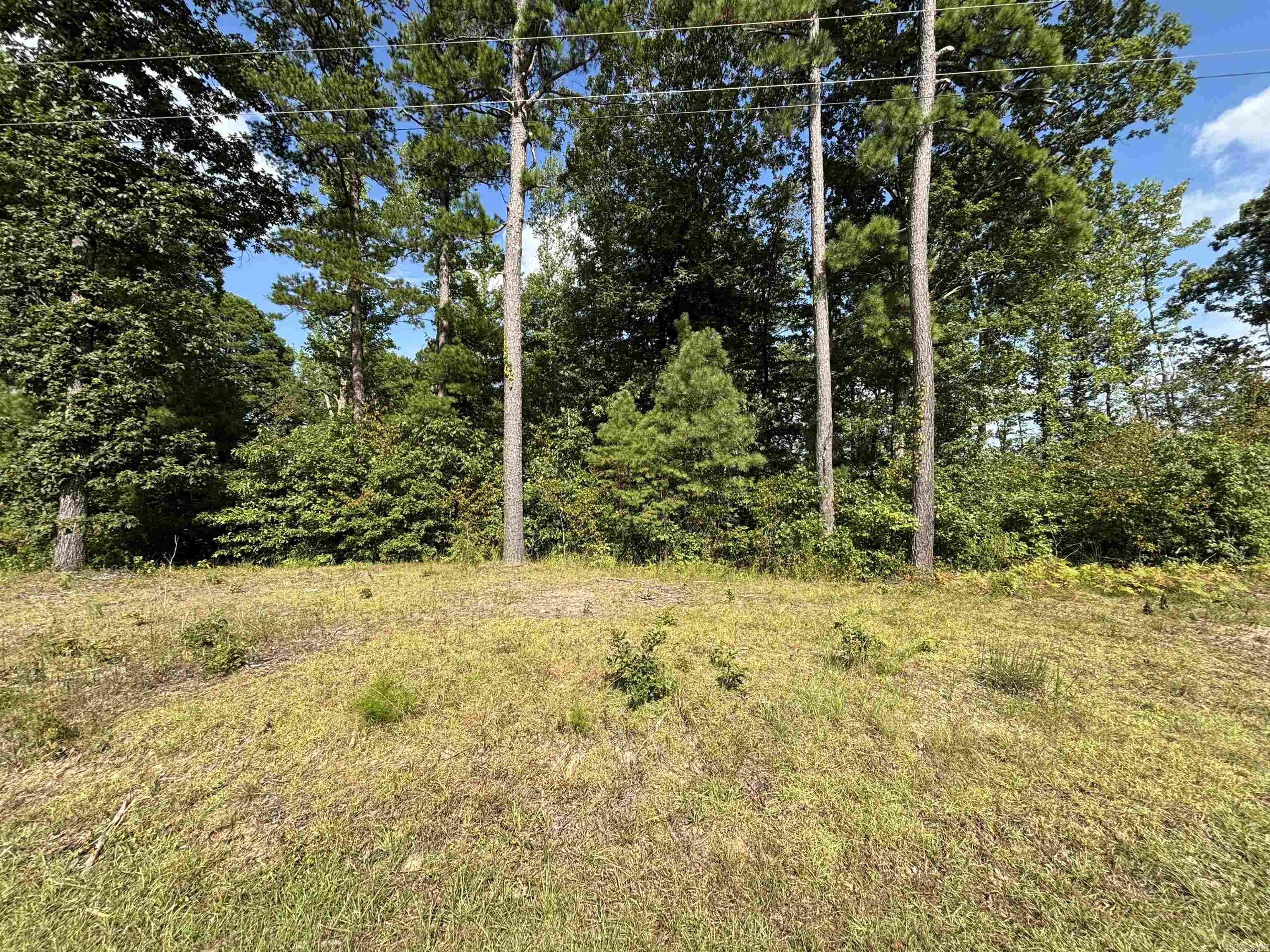 000 Green Hills  Star City, AR