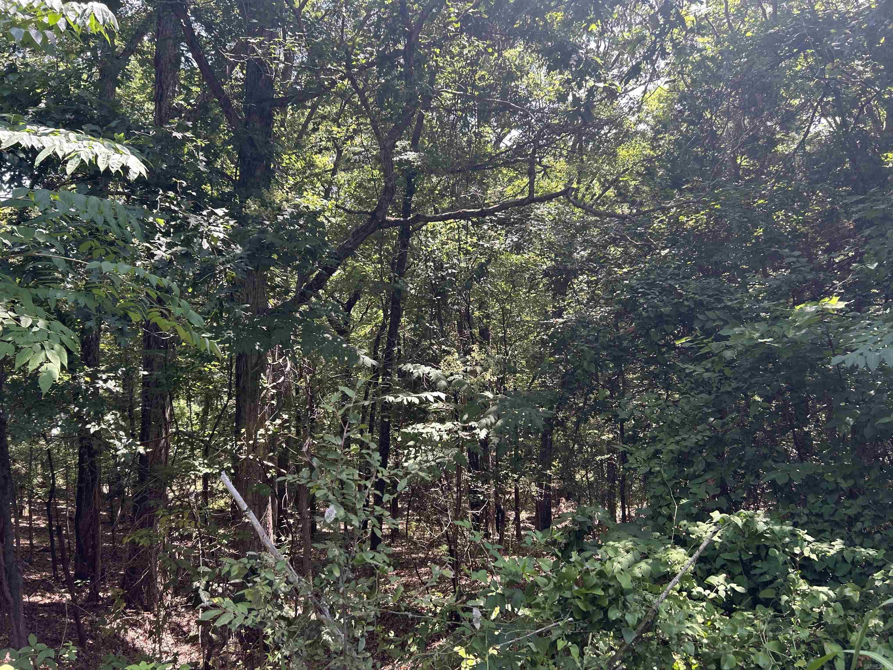  Cr 325  Pleasant Hope, AR