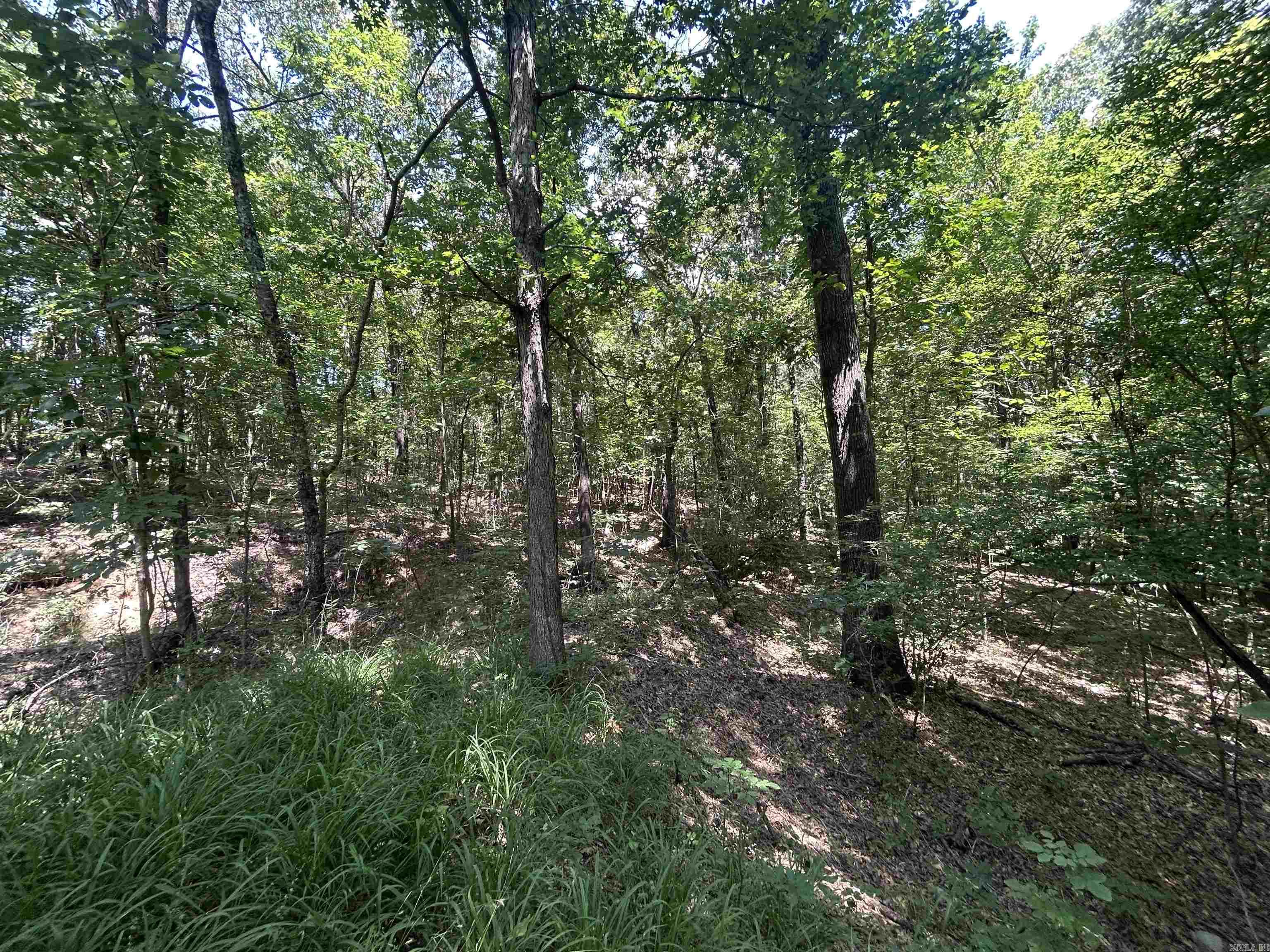  Cr 325  Pleasant Hope, AR