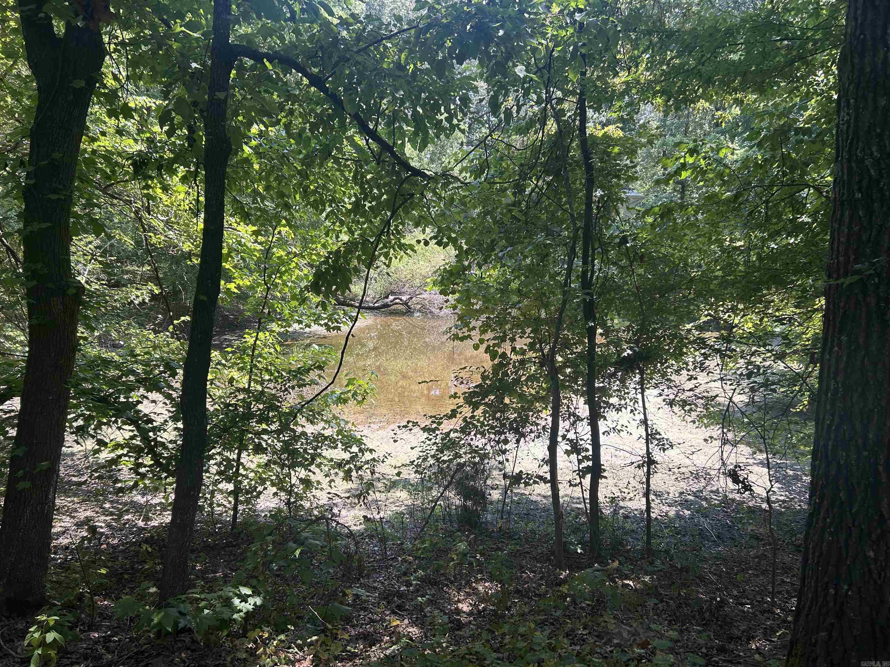  Cr 325  Pleasant Hope, AR