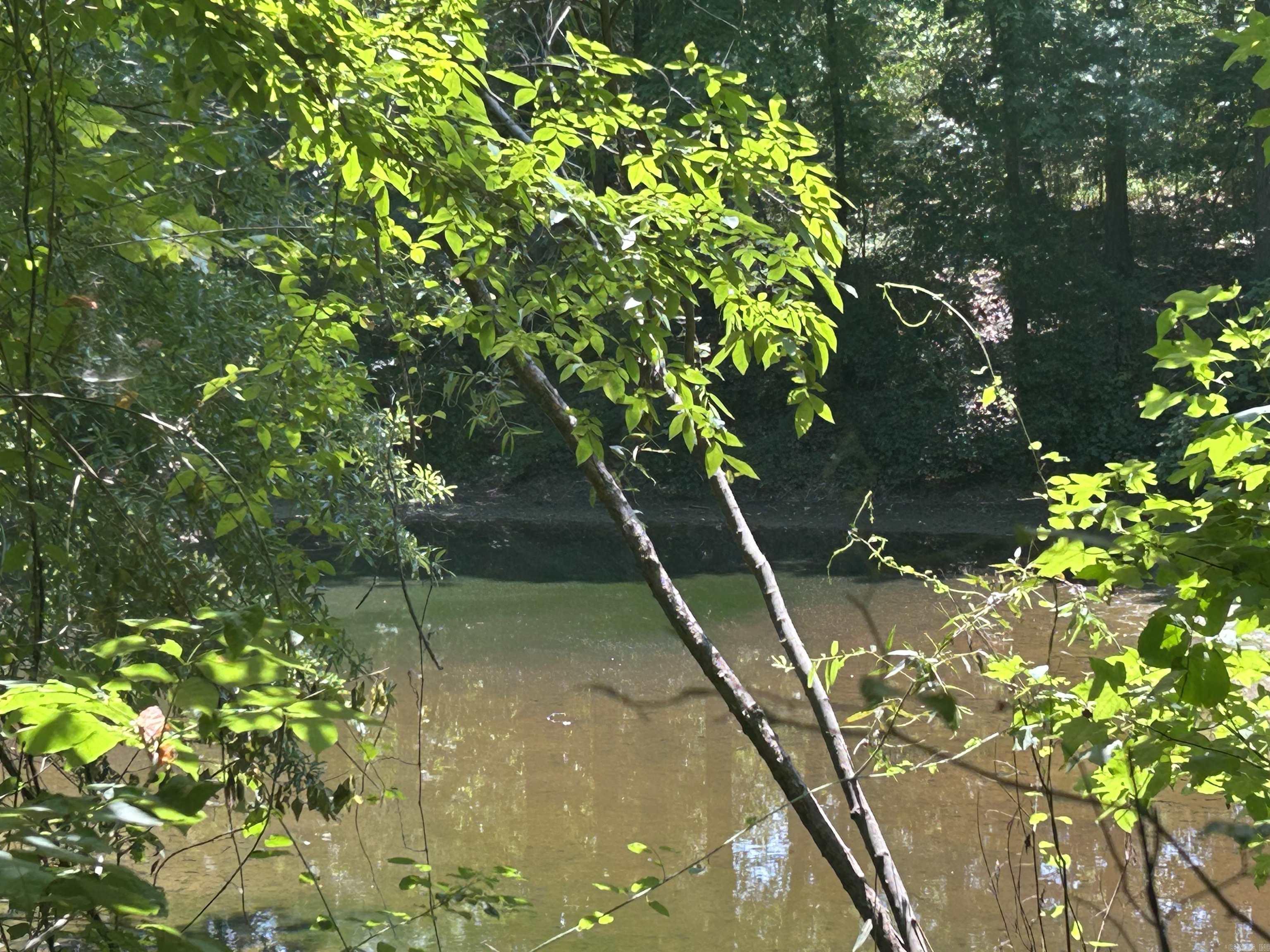  Cr 325  Pleasant Hope, AR