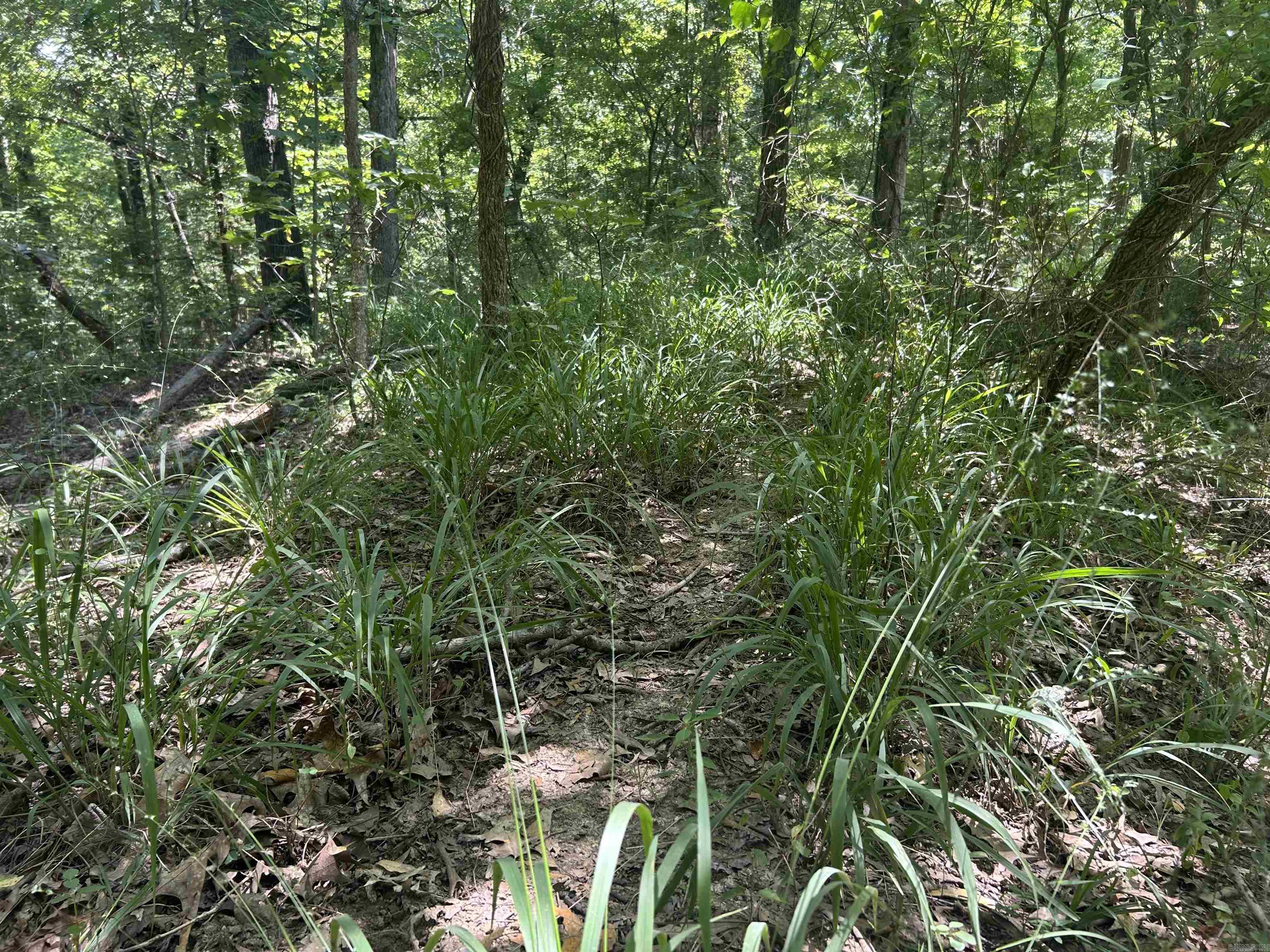  Cr 325  Pleasant Hope, AR