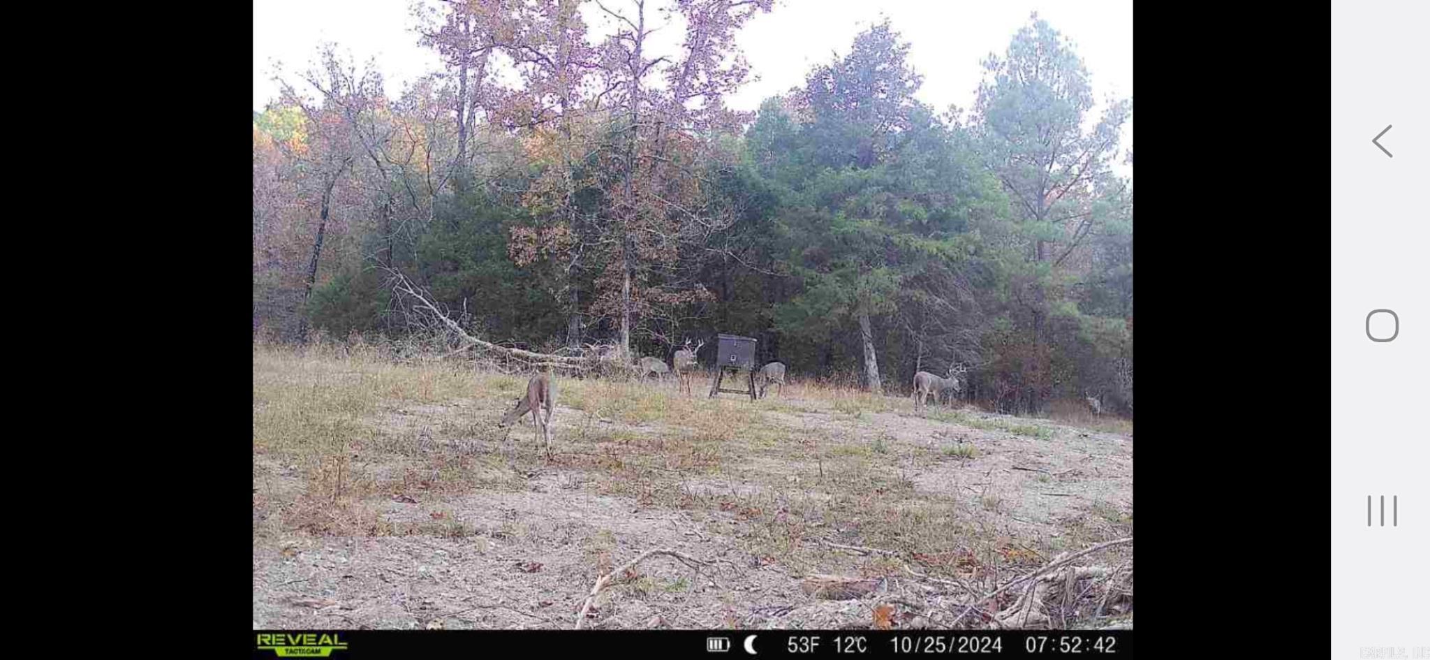 000 Pool  Lonsdale, AR