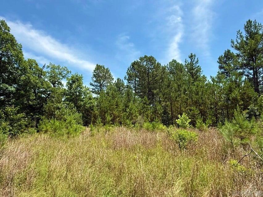 2245 Cedar Creek  Hot Springs Village, AR