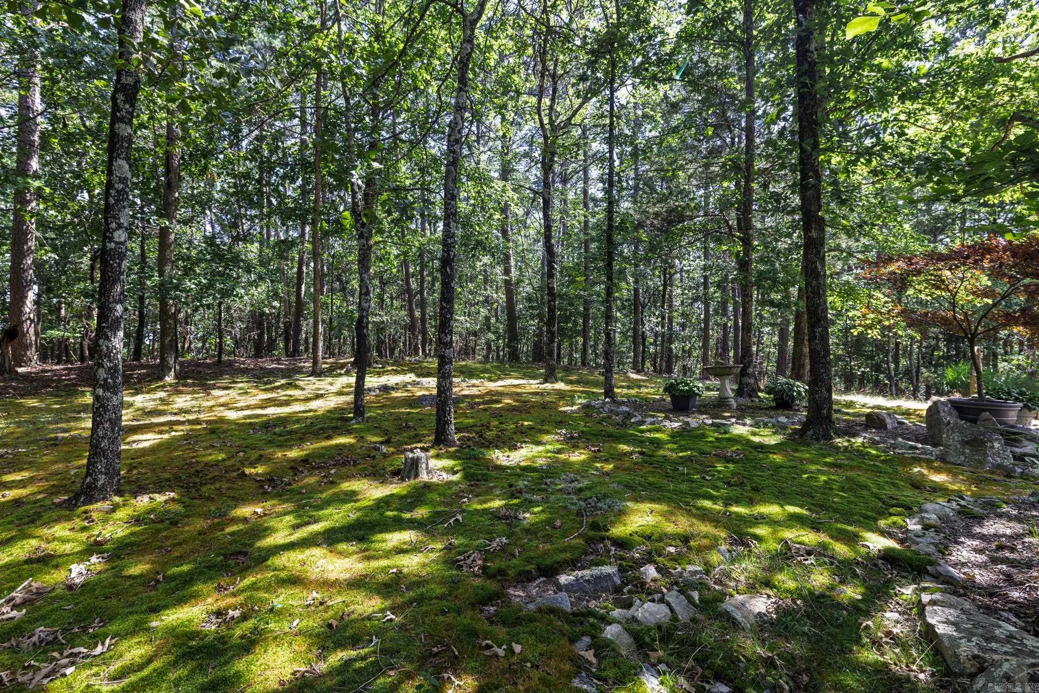 11 Mieres  Hot Springs Village, AR