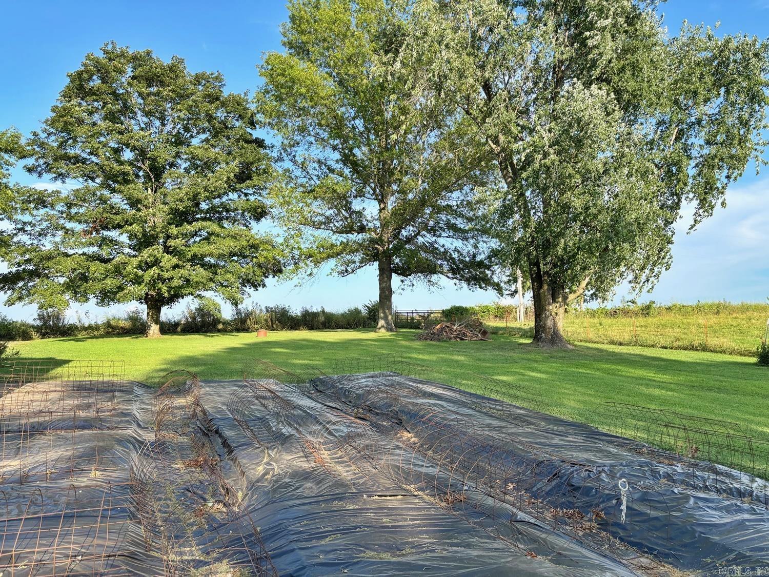 2504 Joe Holt  Everton, AR