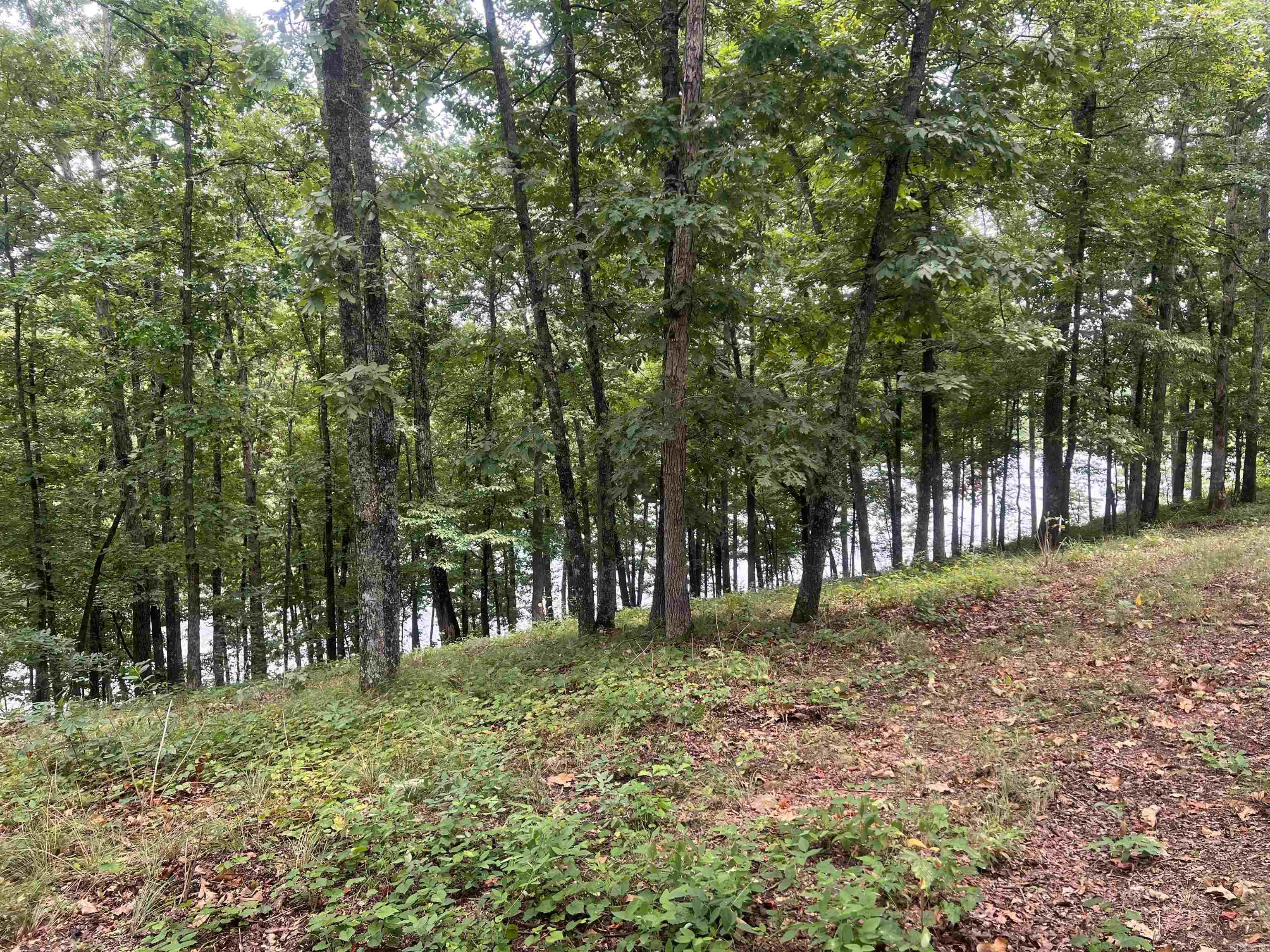 Lot 16 Quail Hollow  Heber Springs, AR