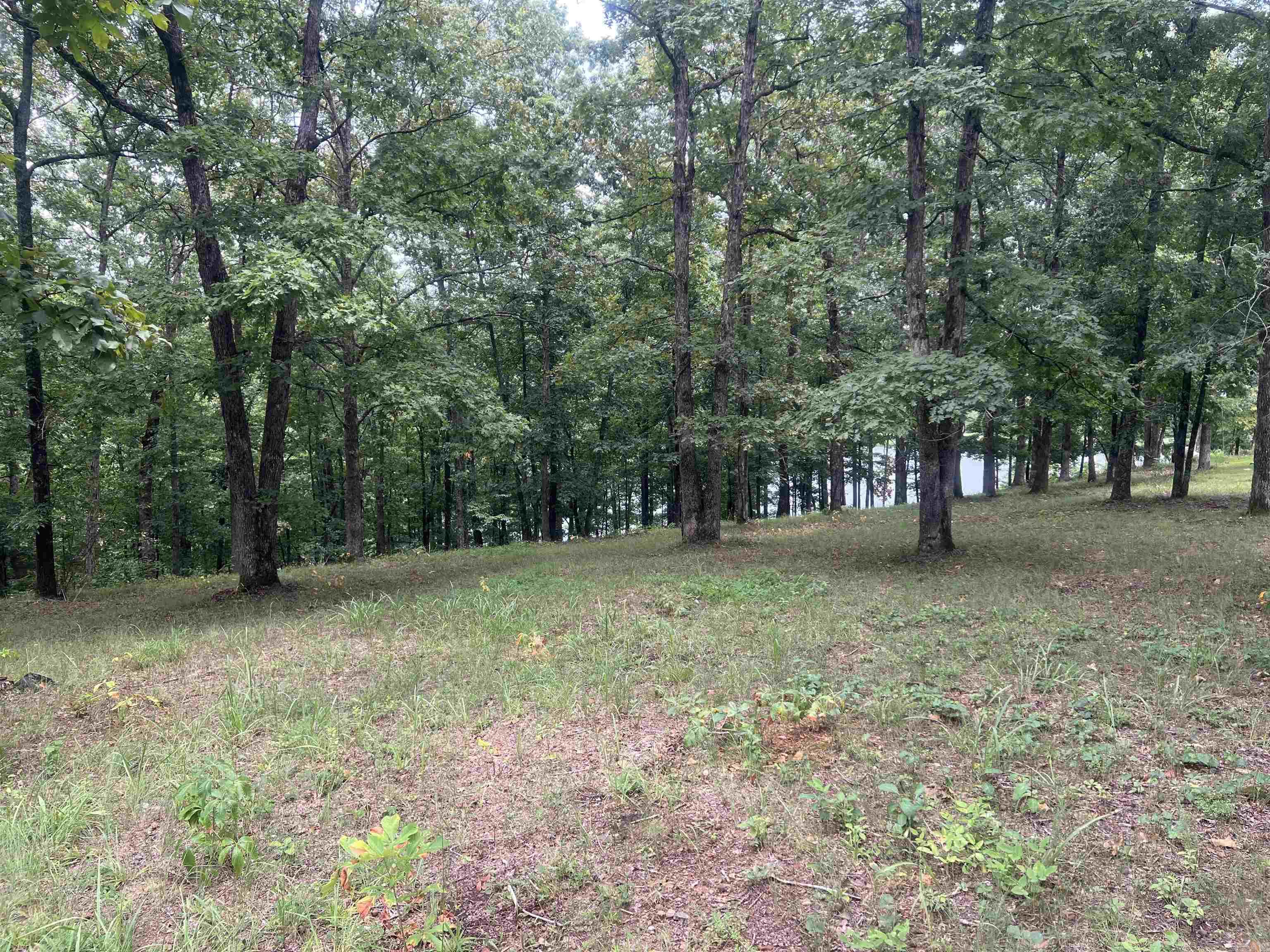 Lot 16 Quail Hollow  Heber Springs, AR