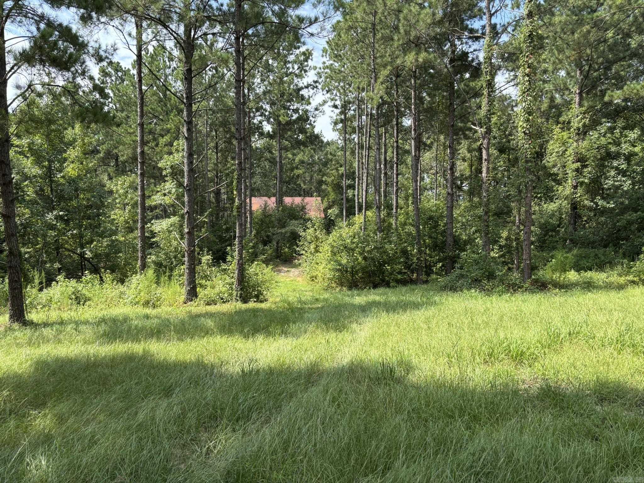 795 Ouachita 12  Chidester, AR