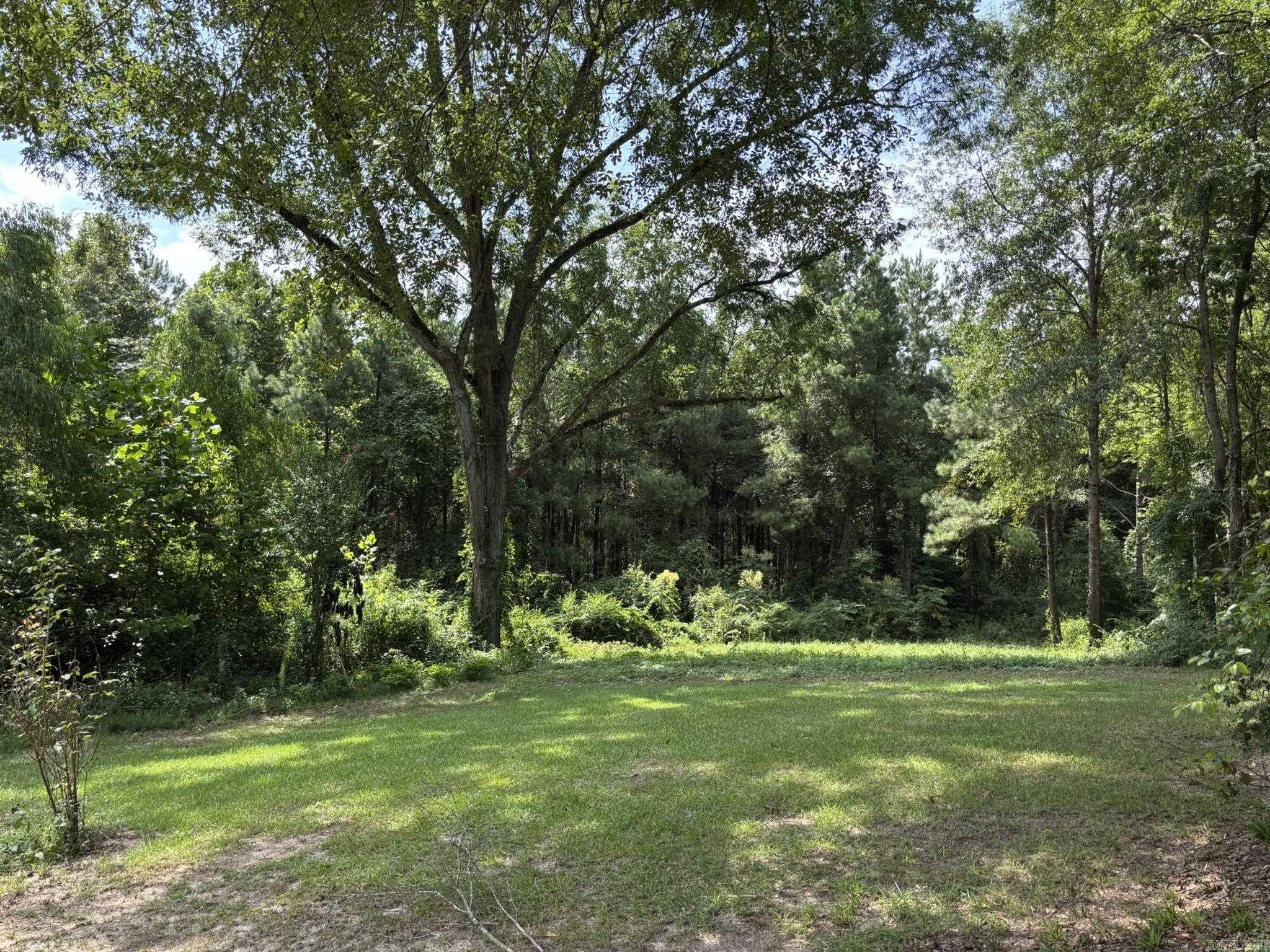 795 Ouachita 12  Chidester, AR