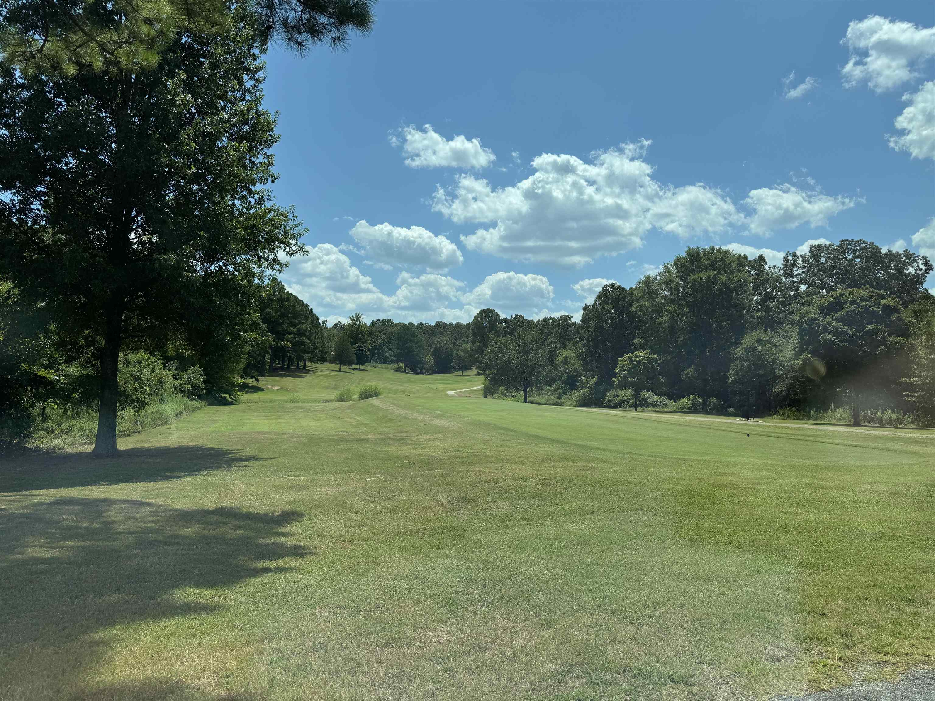 309 W Fairway Drive  Horseshoe Bend, AR