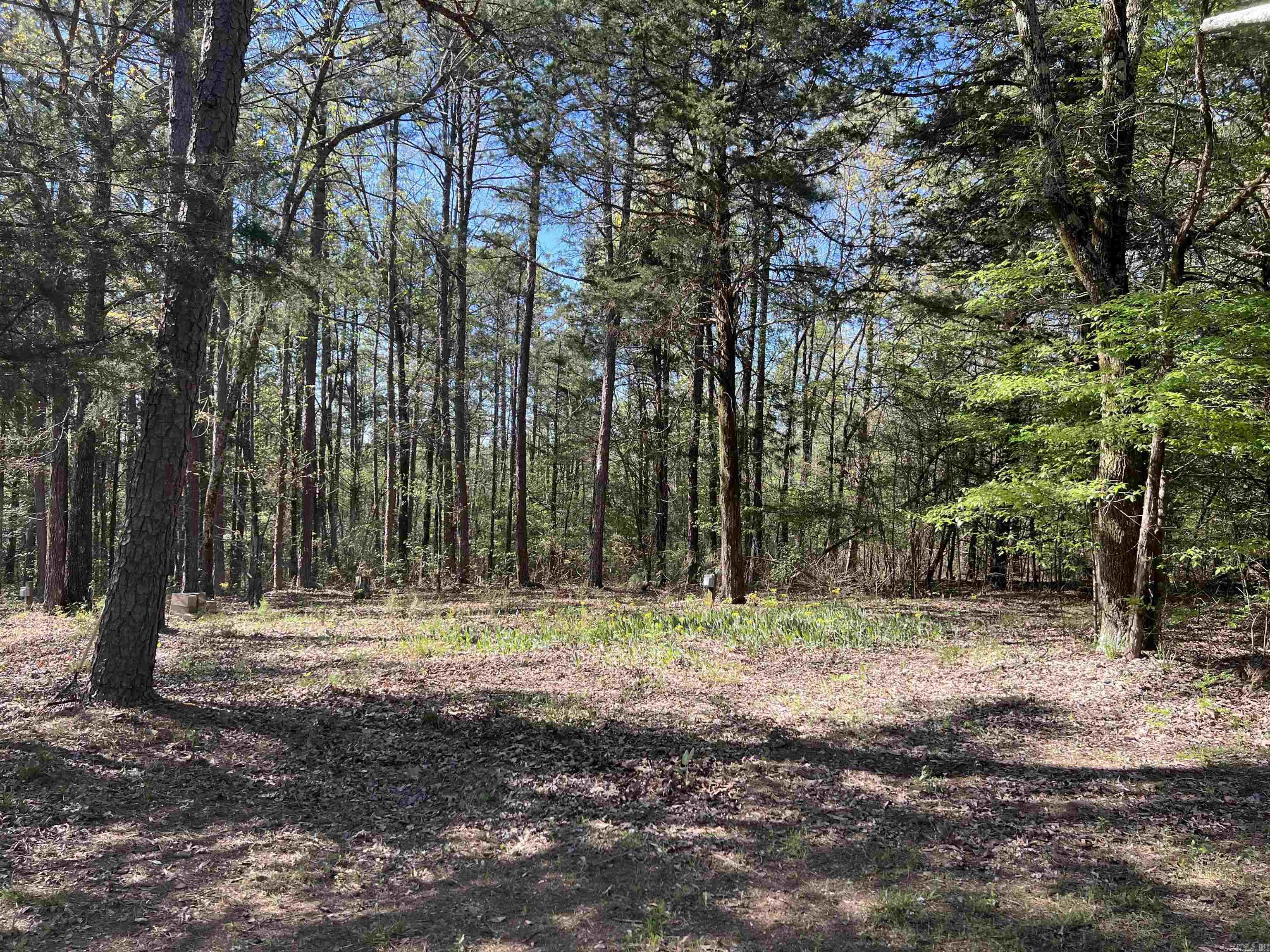 860 Fox Chase  Greers Ferry, AR