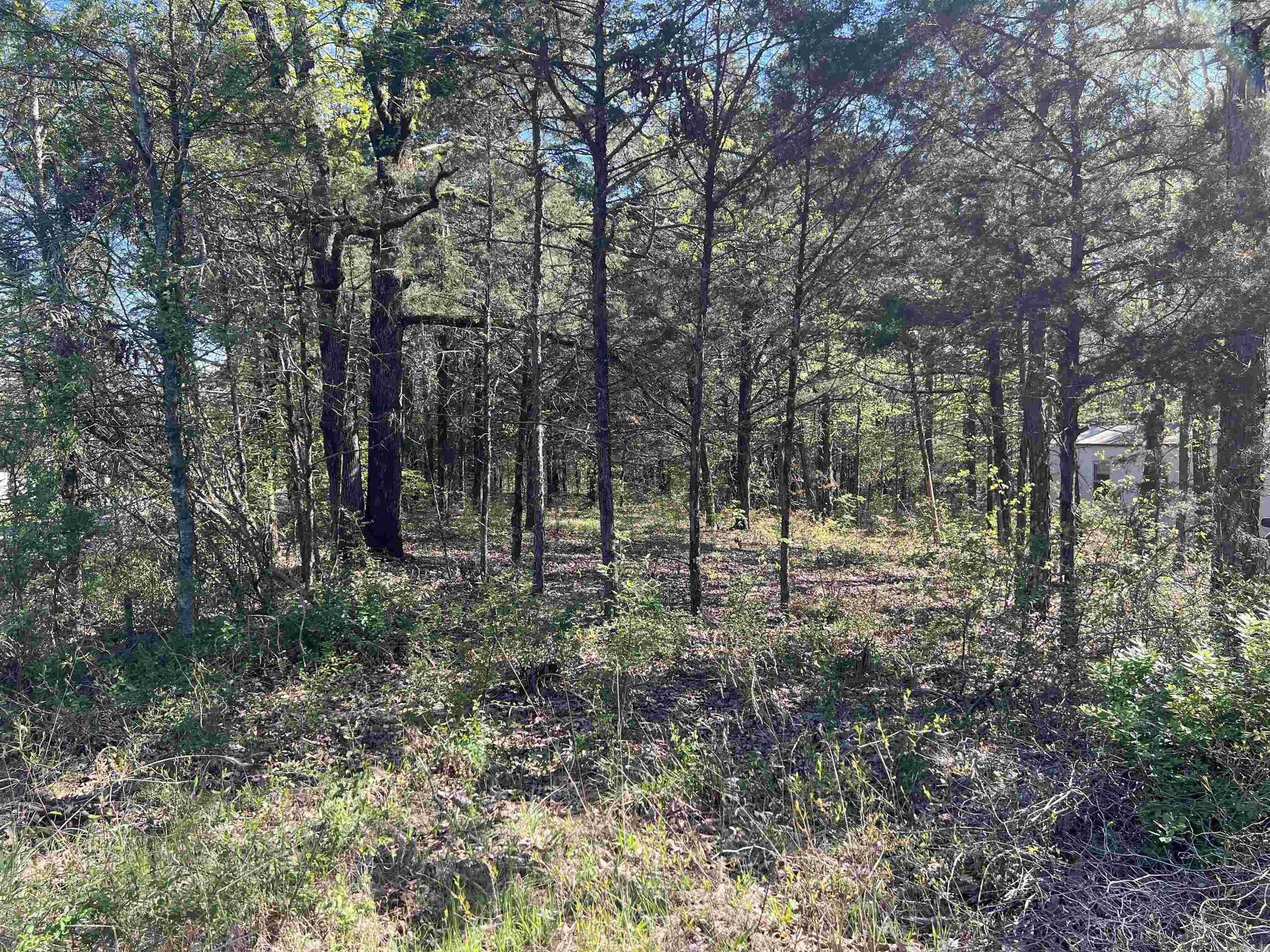 860 Fox Chase  Greers Ferry, AR