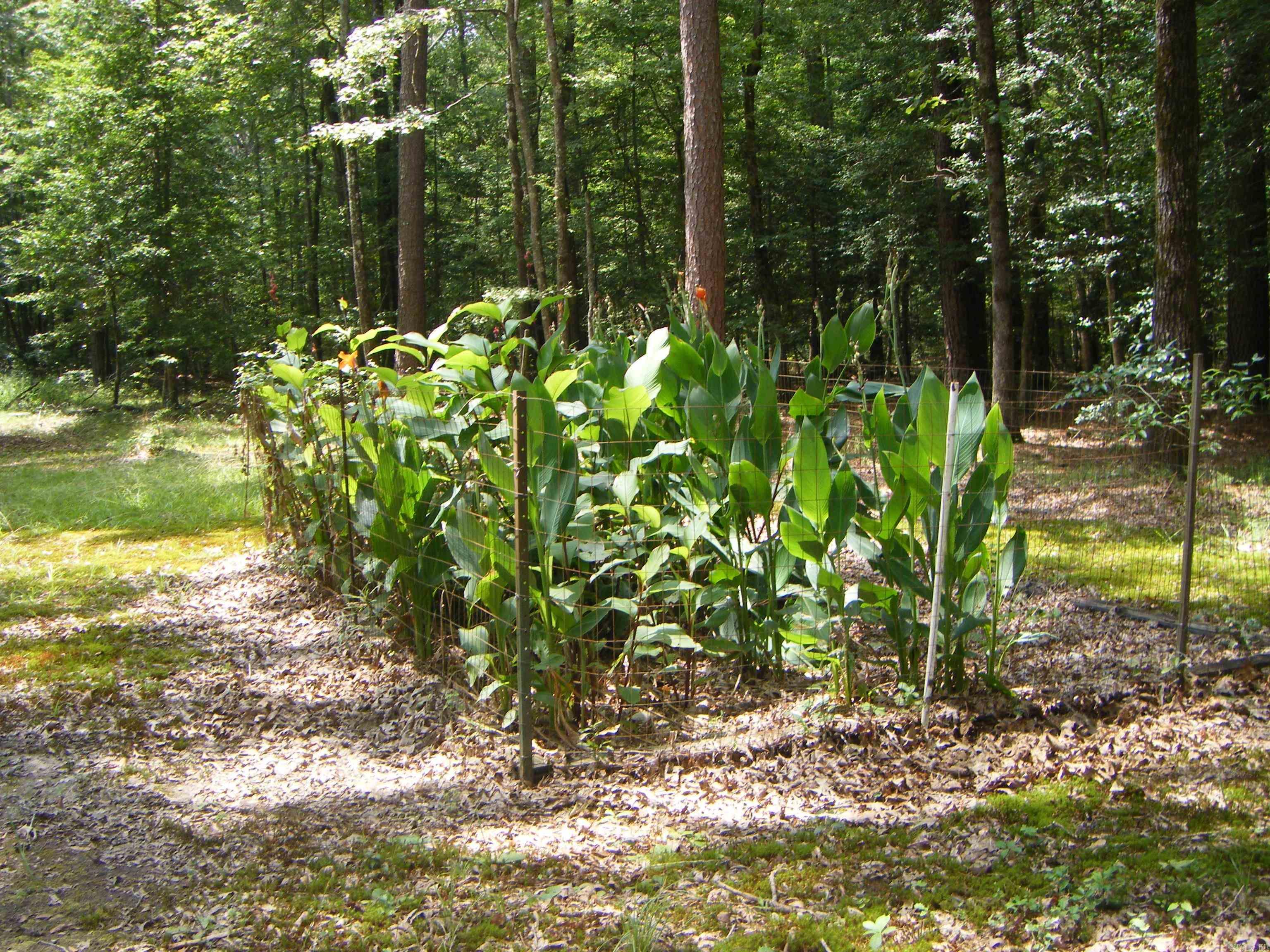 420 E Farm  Delight, AR