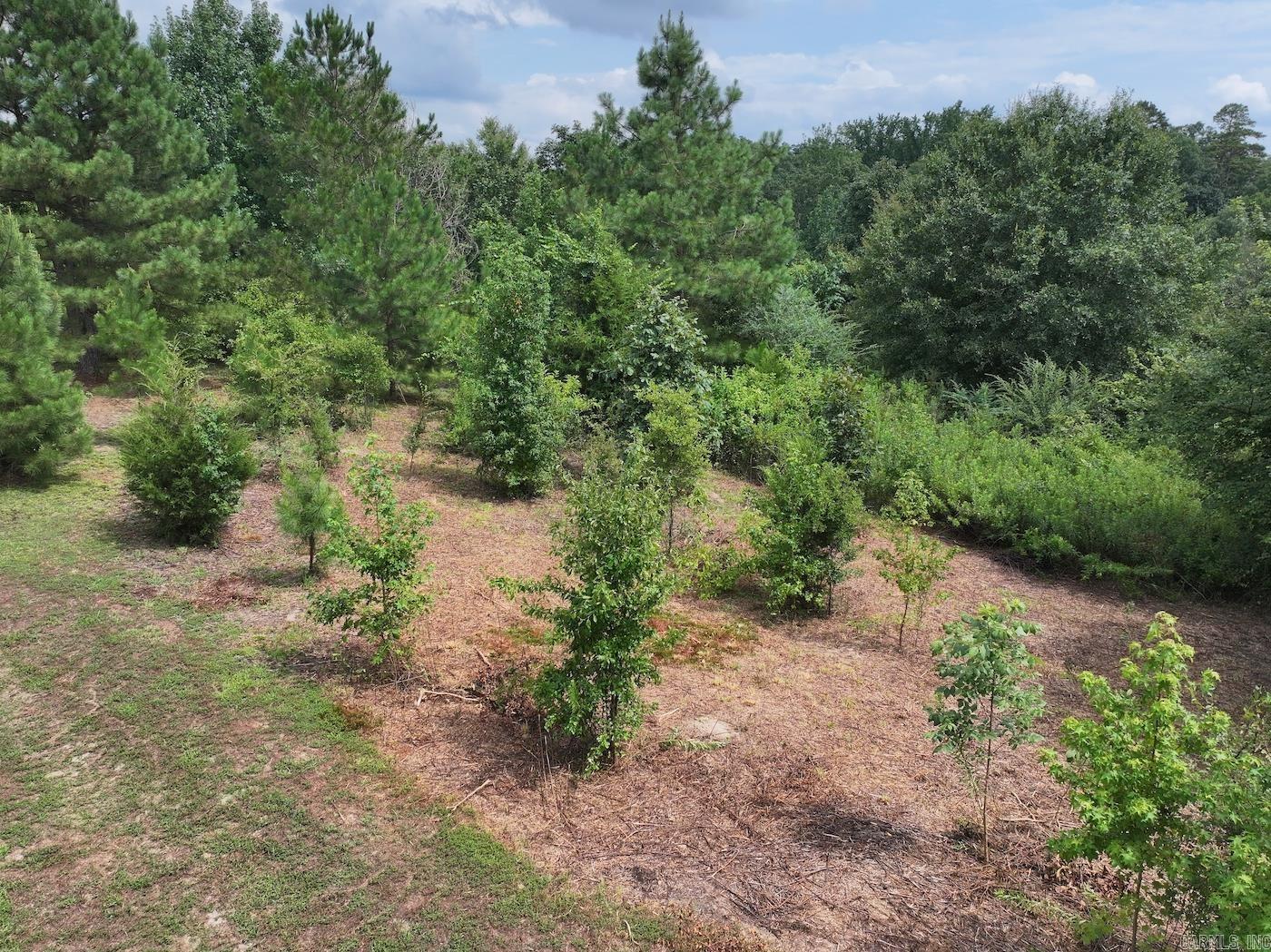 526 EBENEZER  Amity, AR