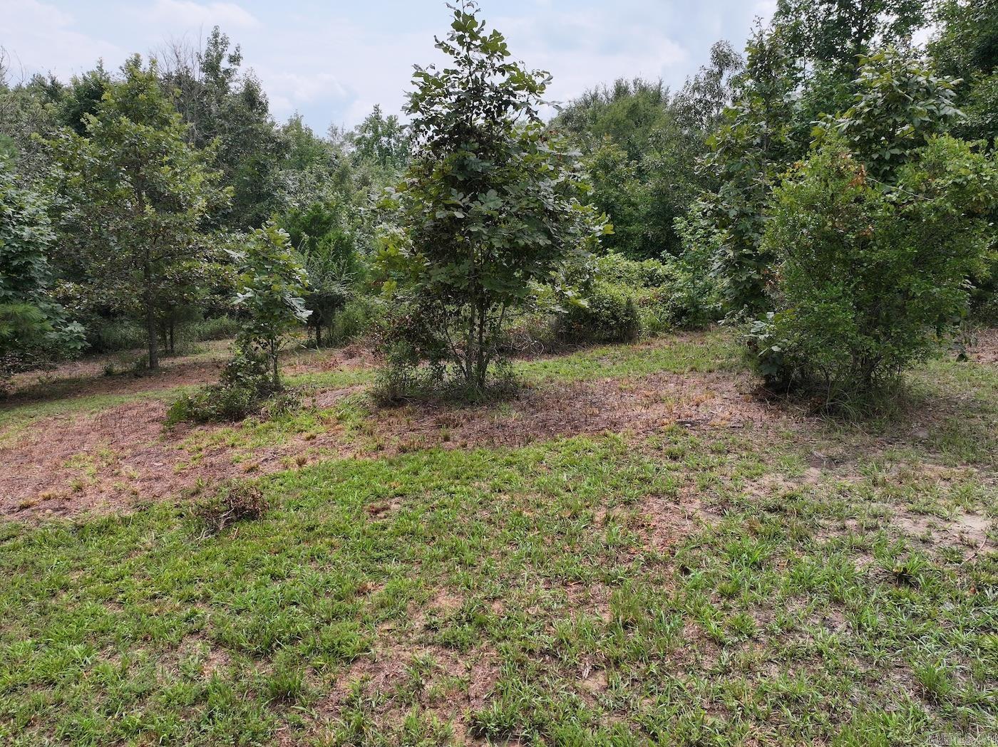 526 EBENEZER  Amity, AR