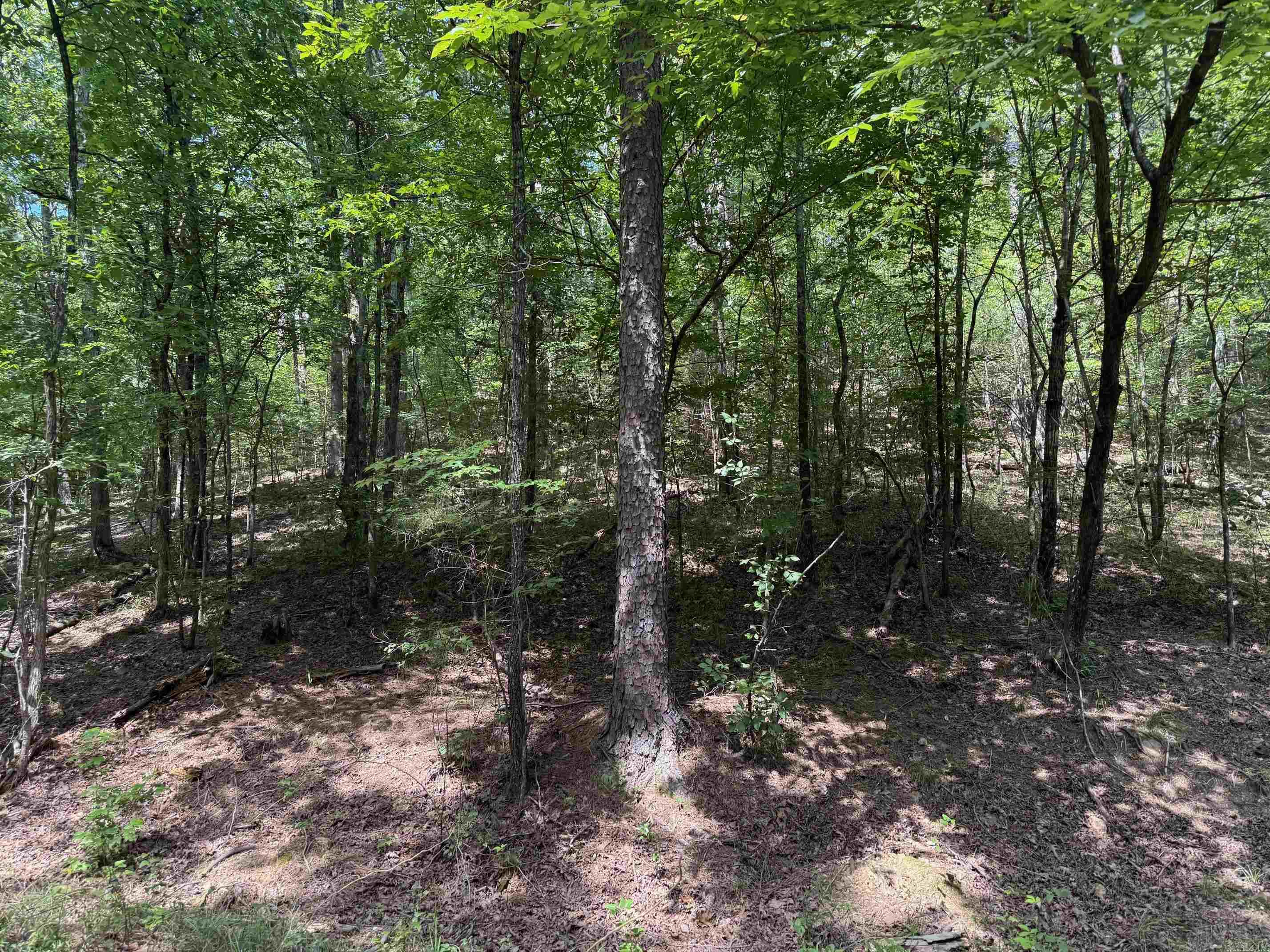 9999 Mountain View Drive  Mena, AR