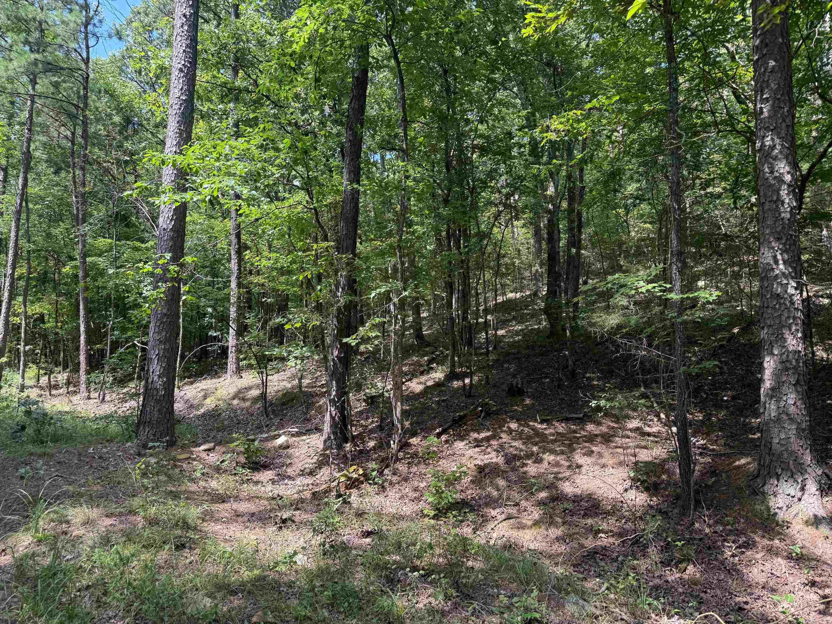 9999 Mountain View Drive  Mena, AR