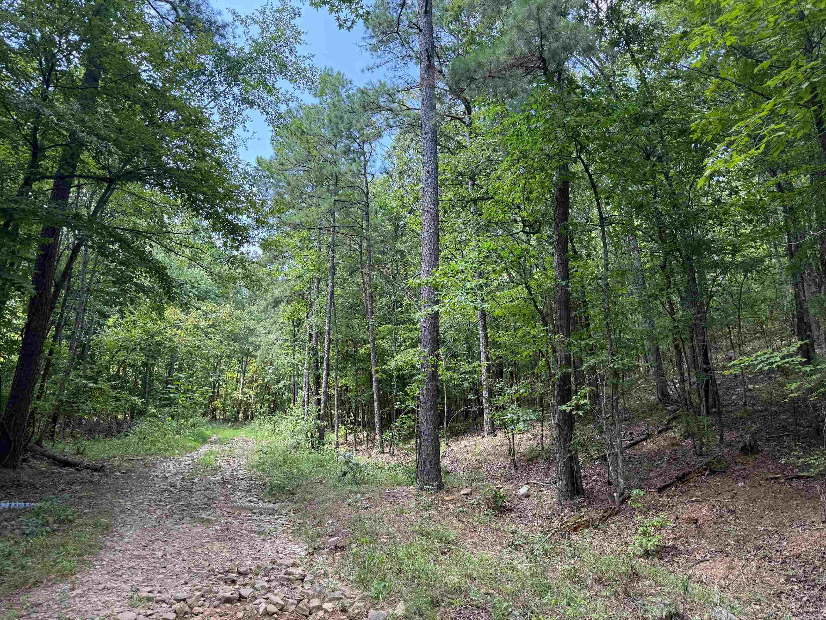 9999 Mountain View Drive  Mena, AR