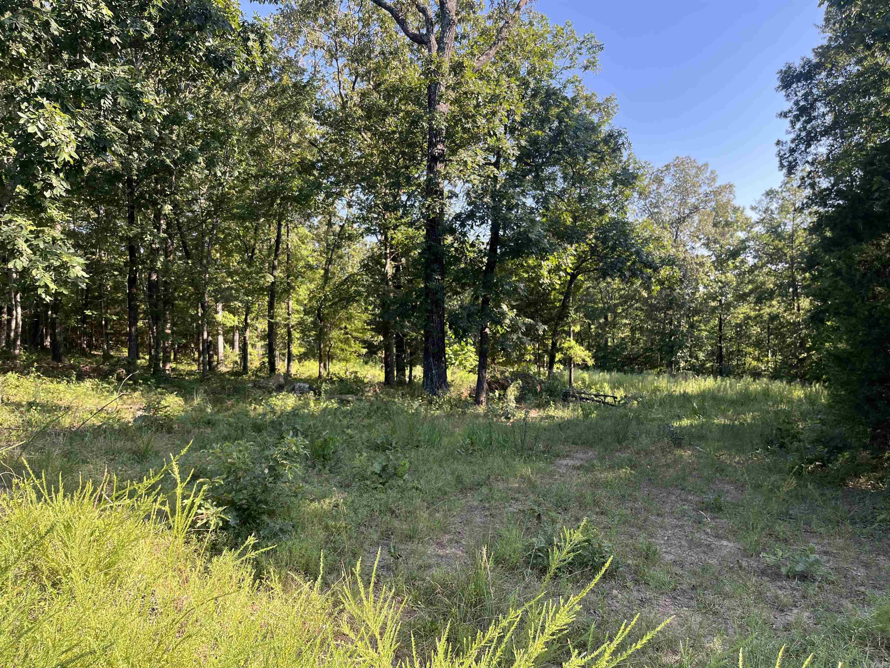 11 Talon Lane  Edgemont, AR